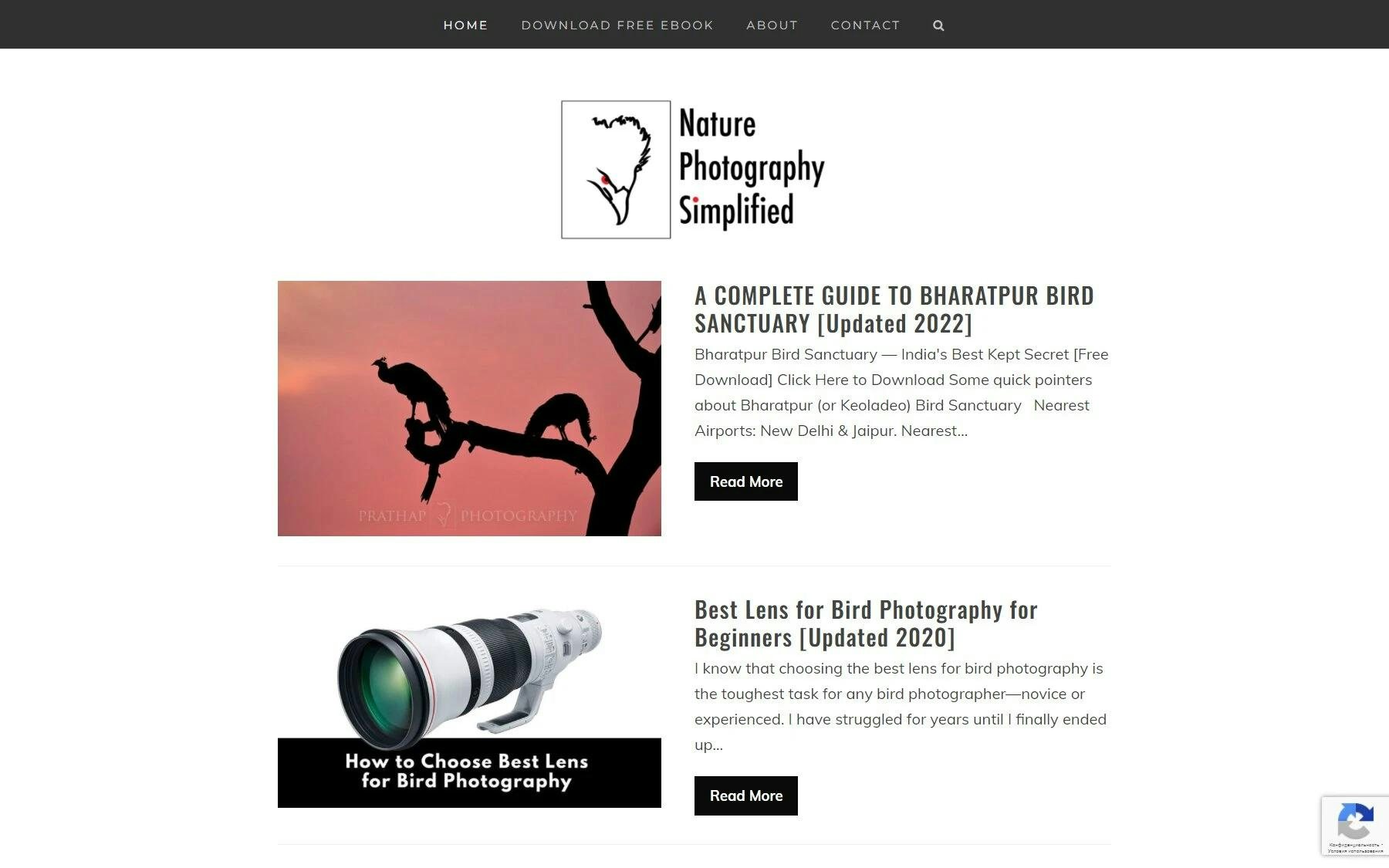 Nature Photography Simplified photography blog