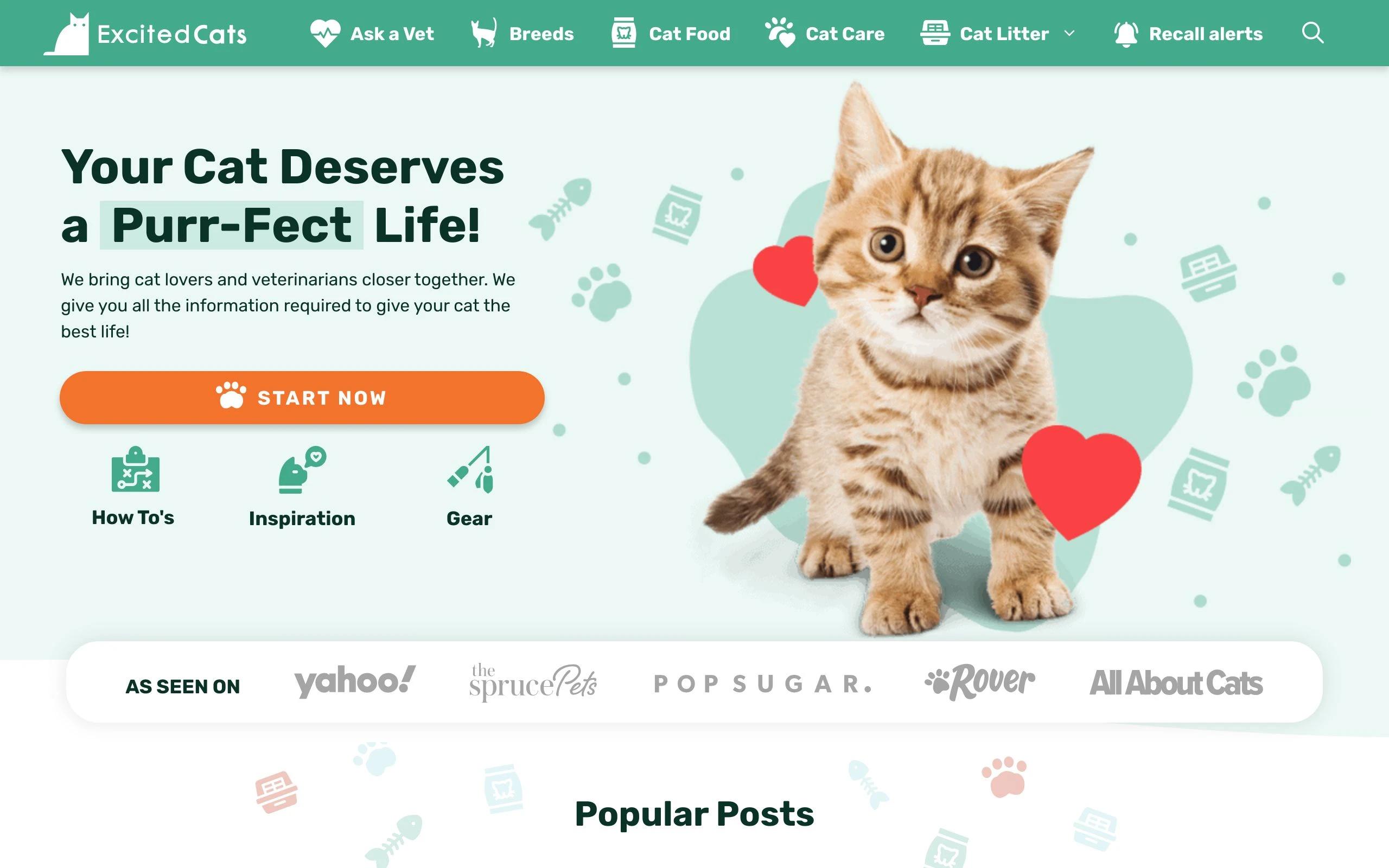 Excited Cats pet blog