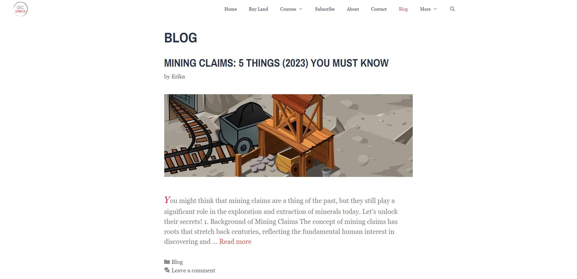 Gokce Capital real estate blog