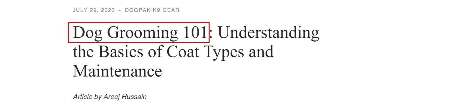 101: all the basics title