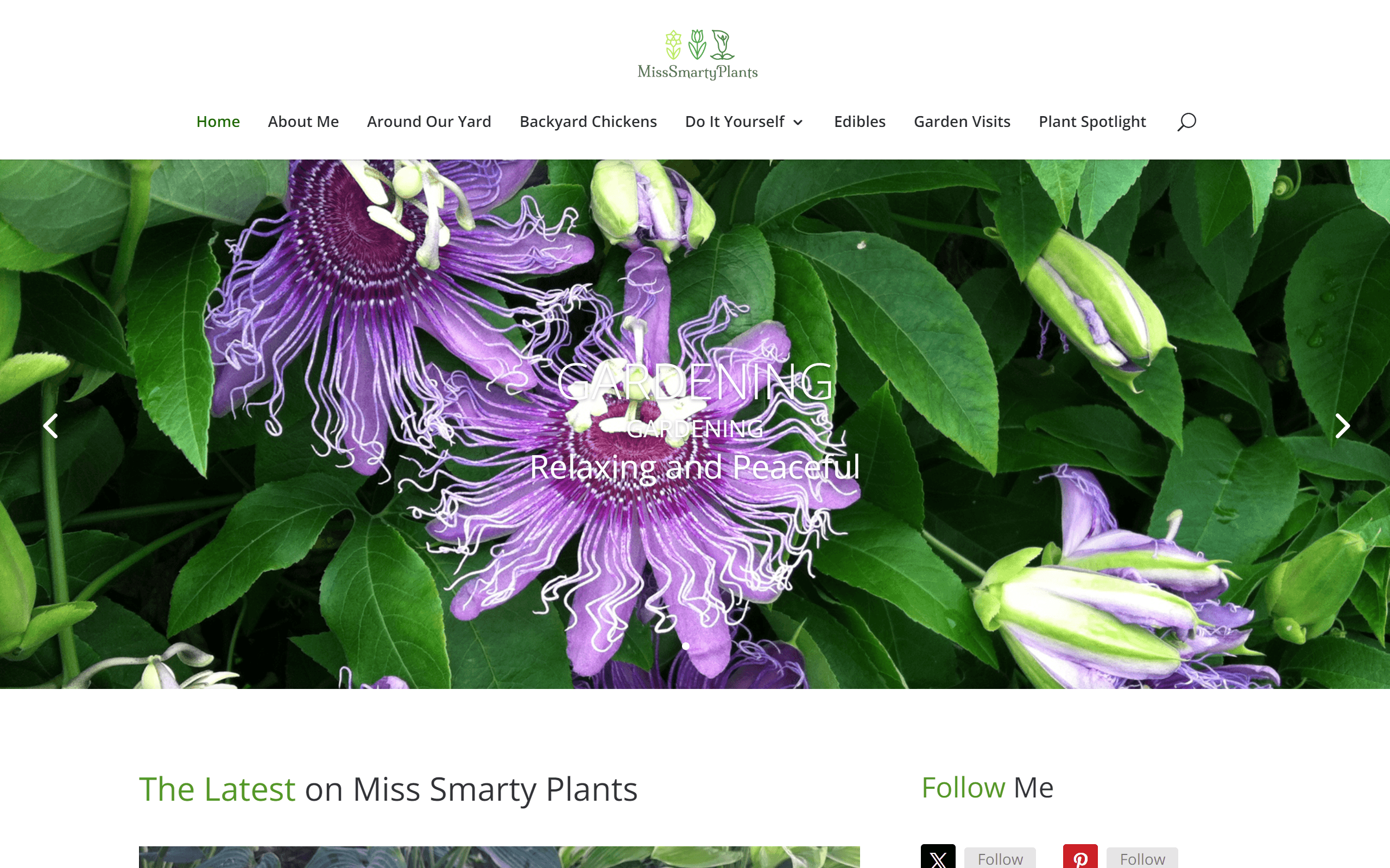 Miss Smarty Plants gardening blog