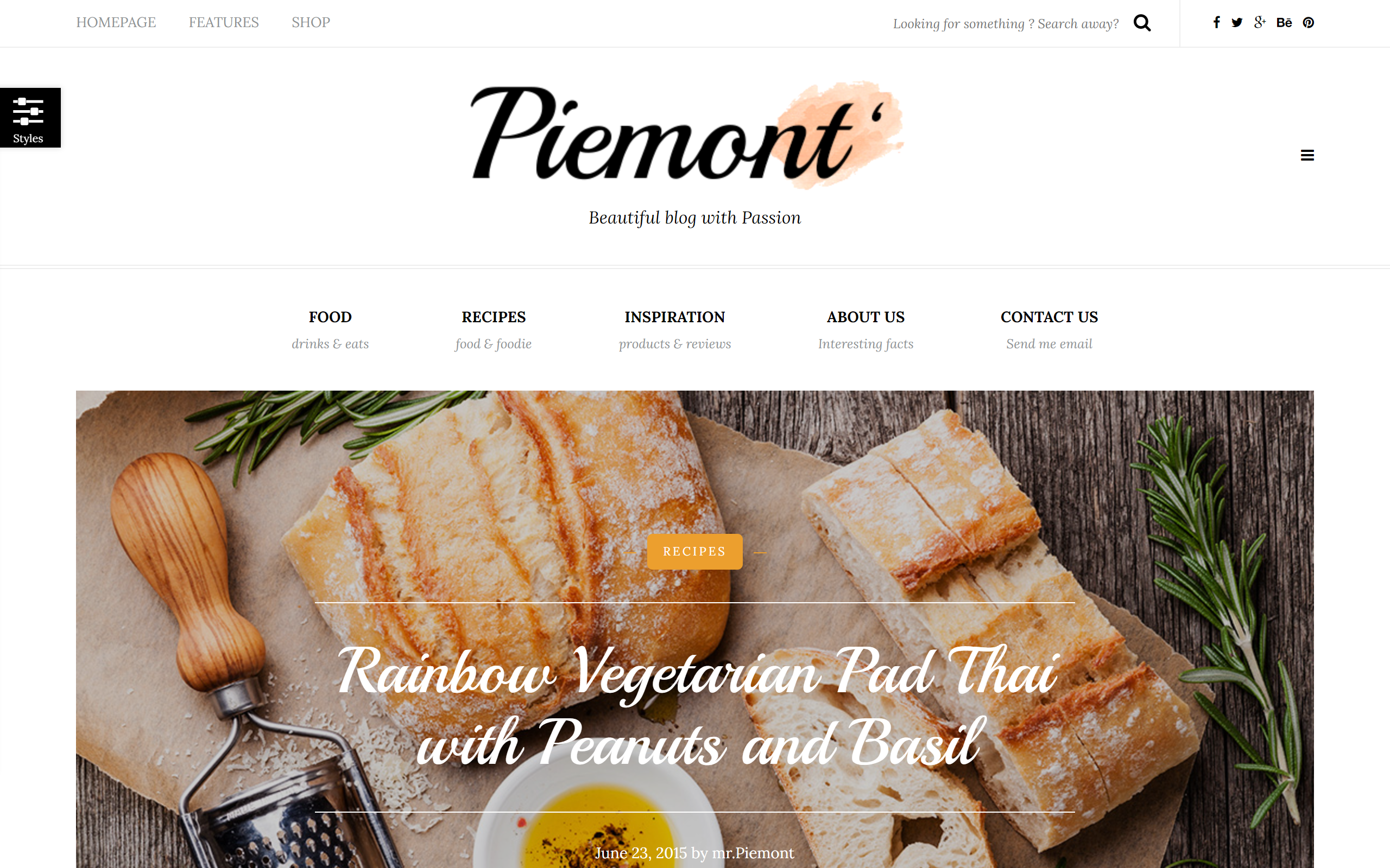 Piemont WordPress Themes