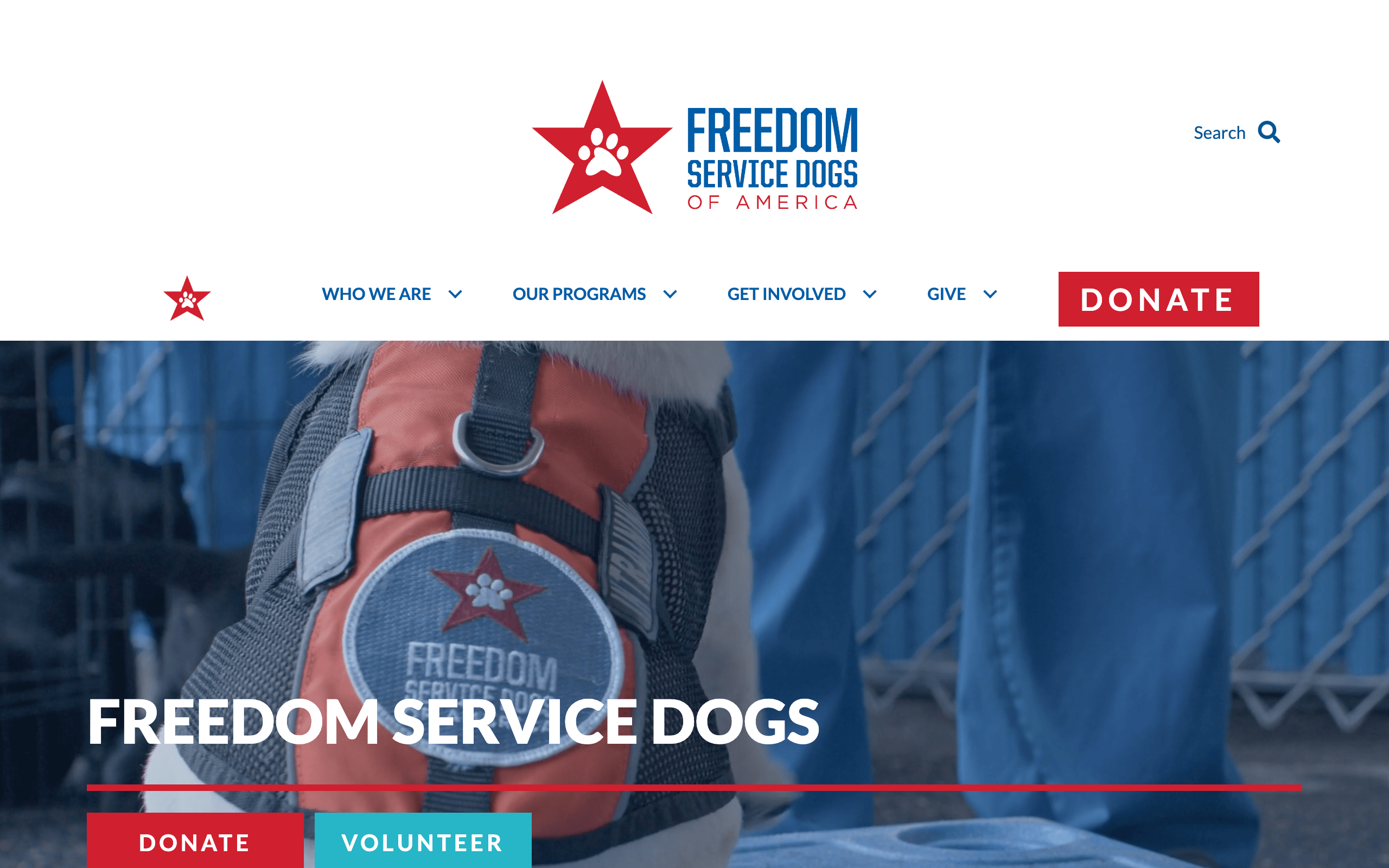 Freedom Service Dogs of America