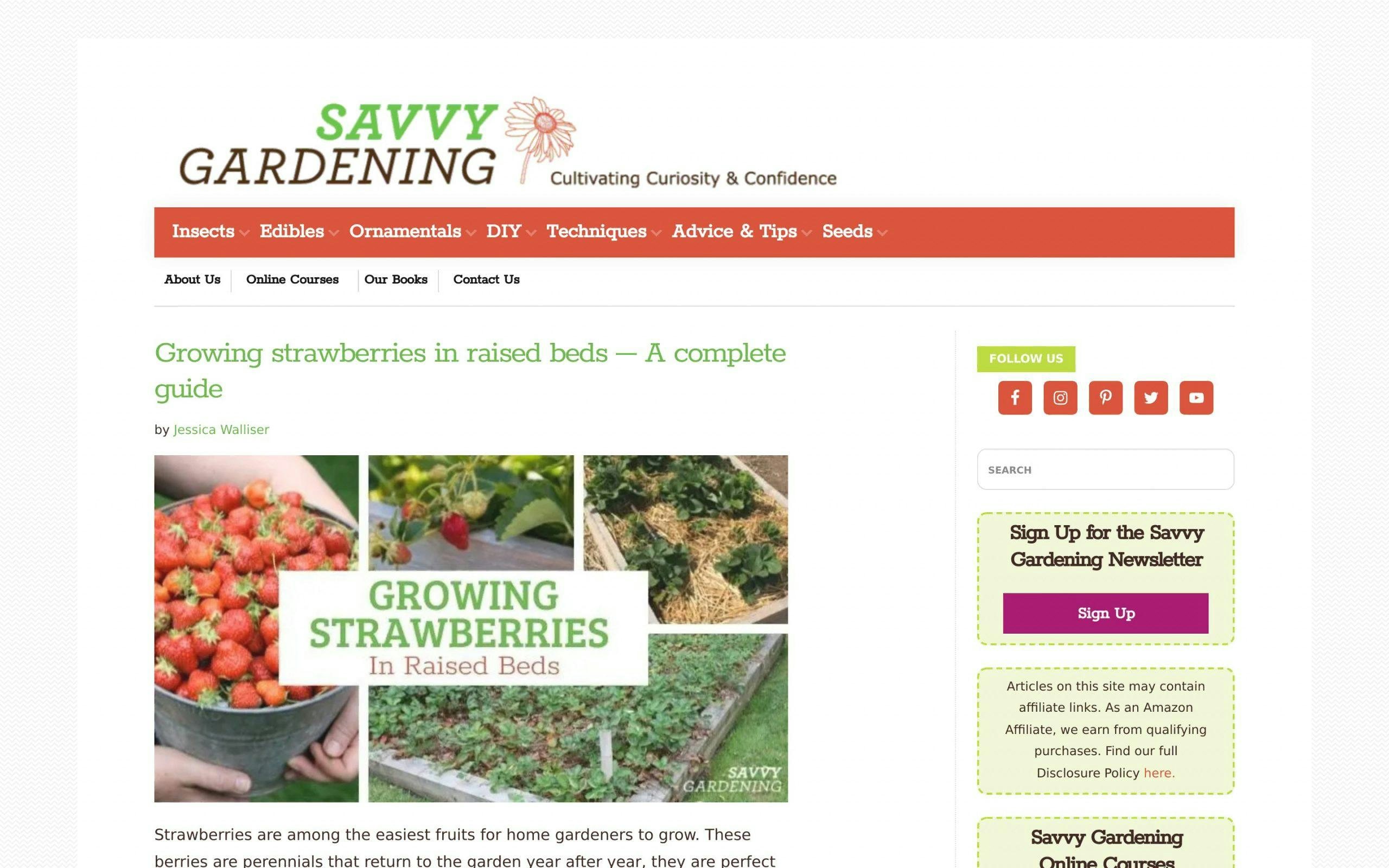 Savvy Gardening