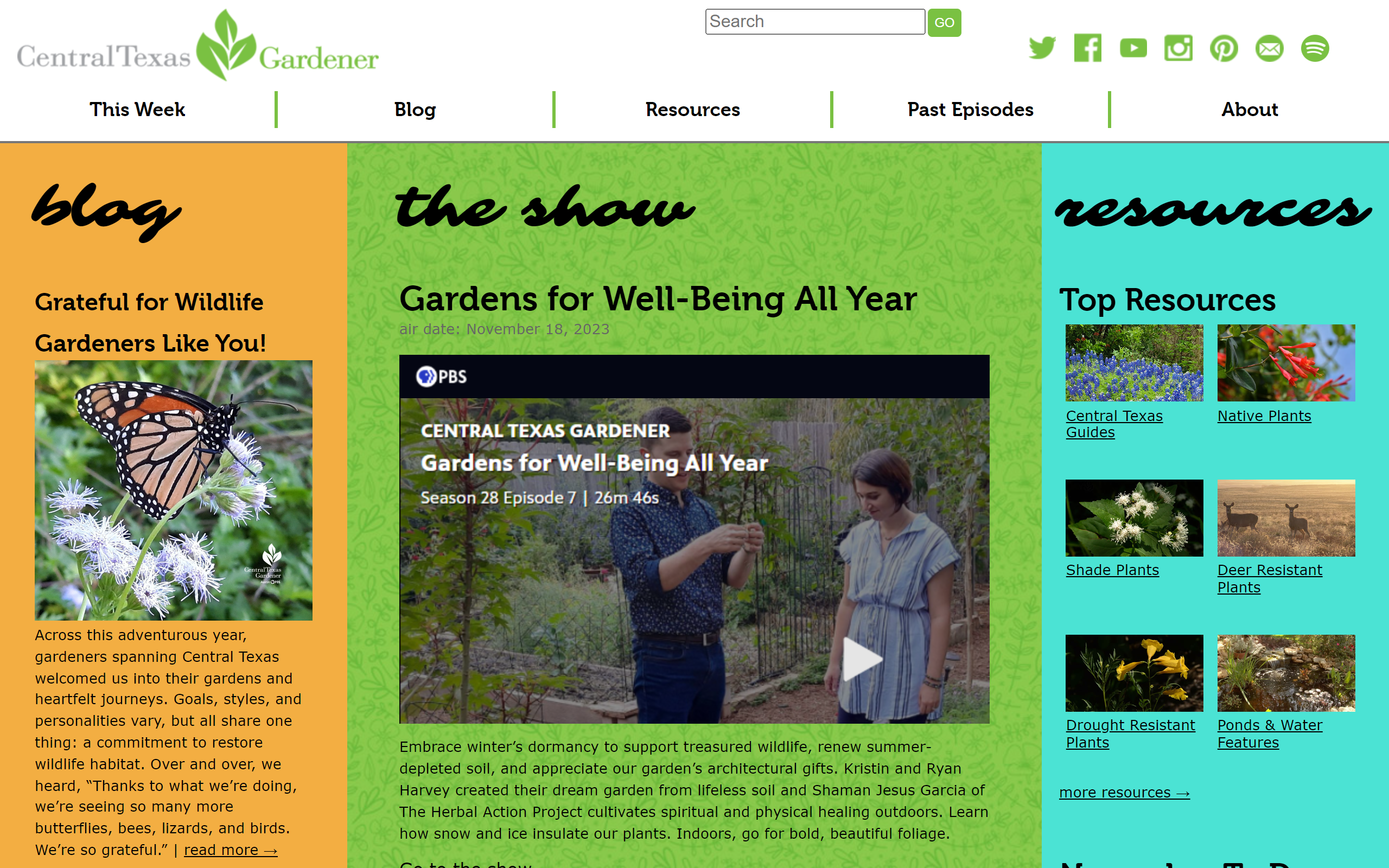 Central Texas Gardener gardening blog
