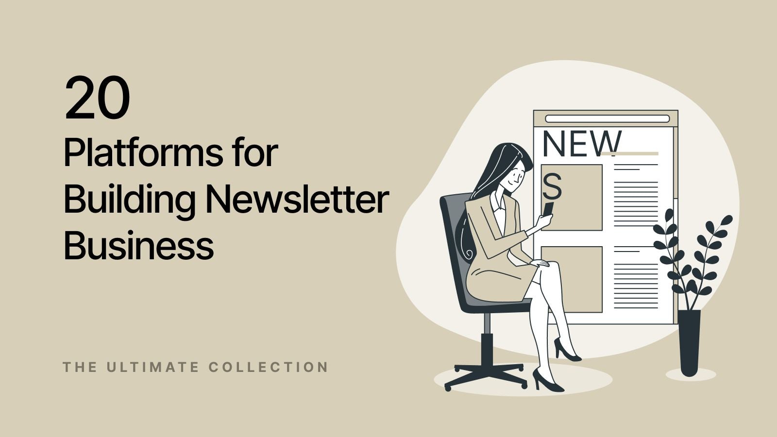 build profitable newsletter business