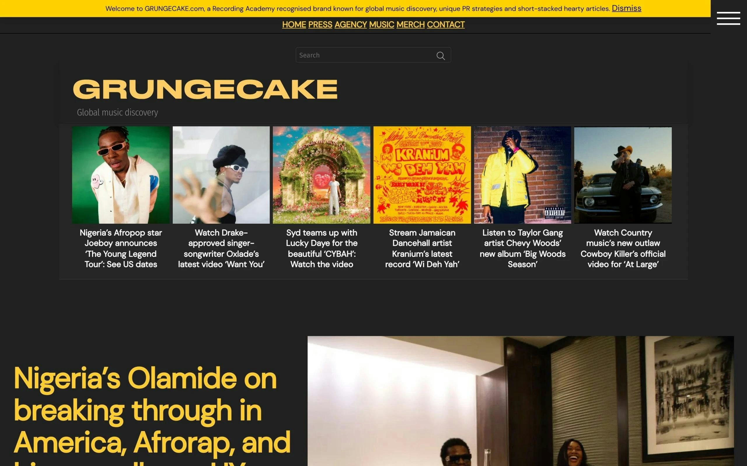 Grunge Cake music blog