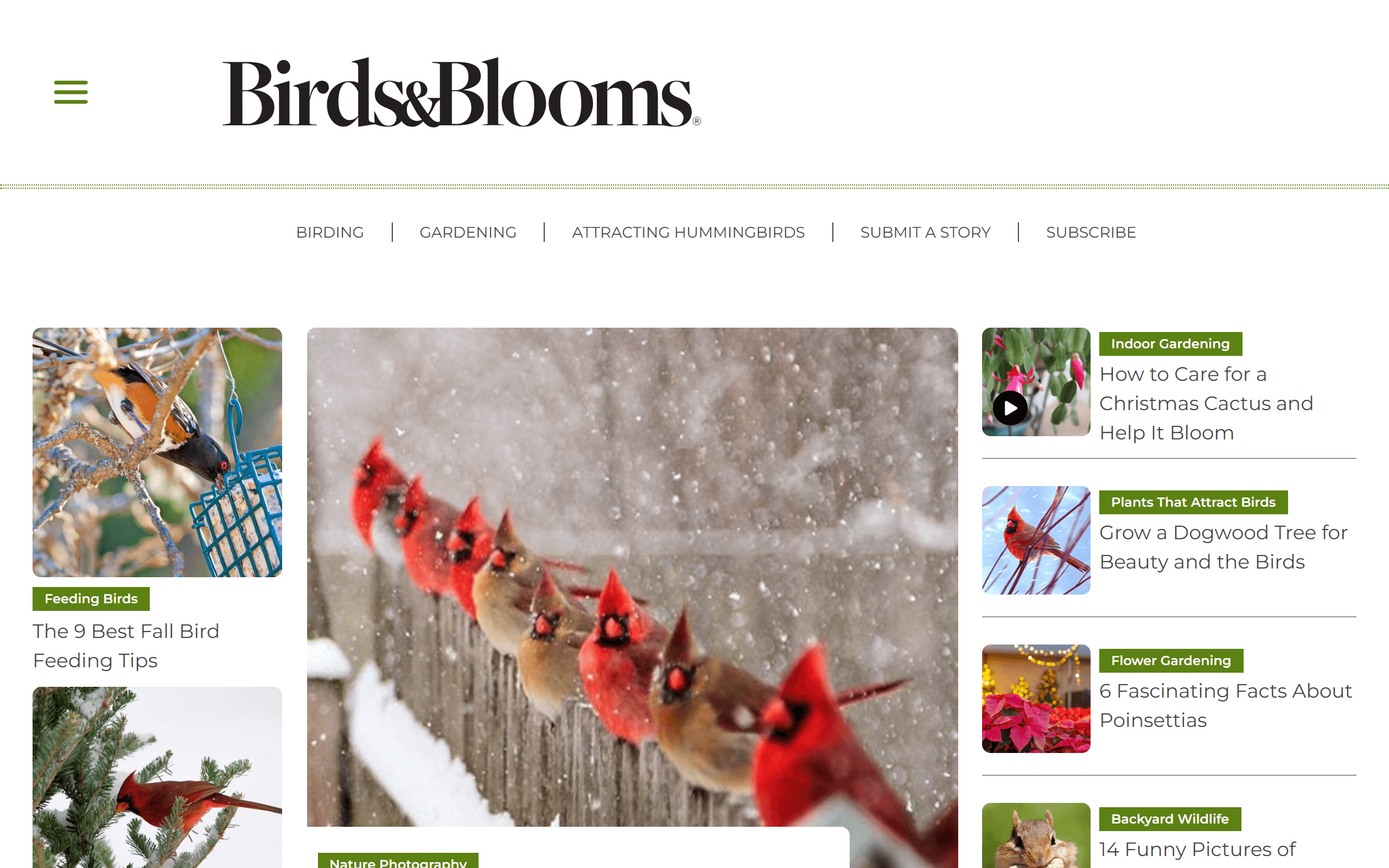 Birds and Blooms gardening blog