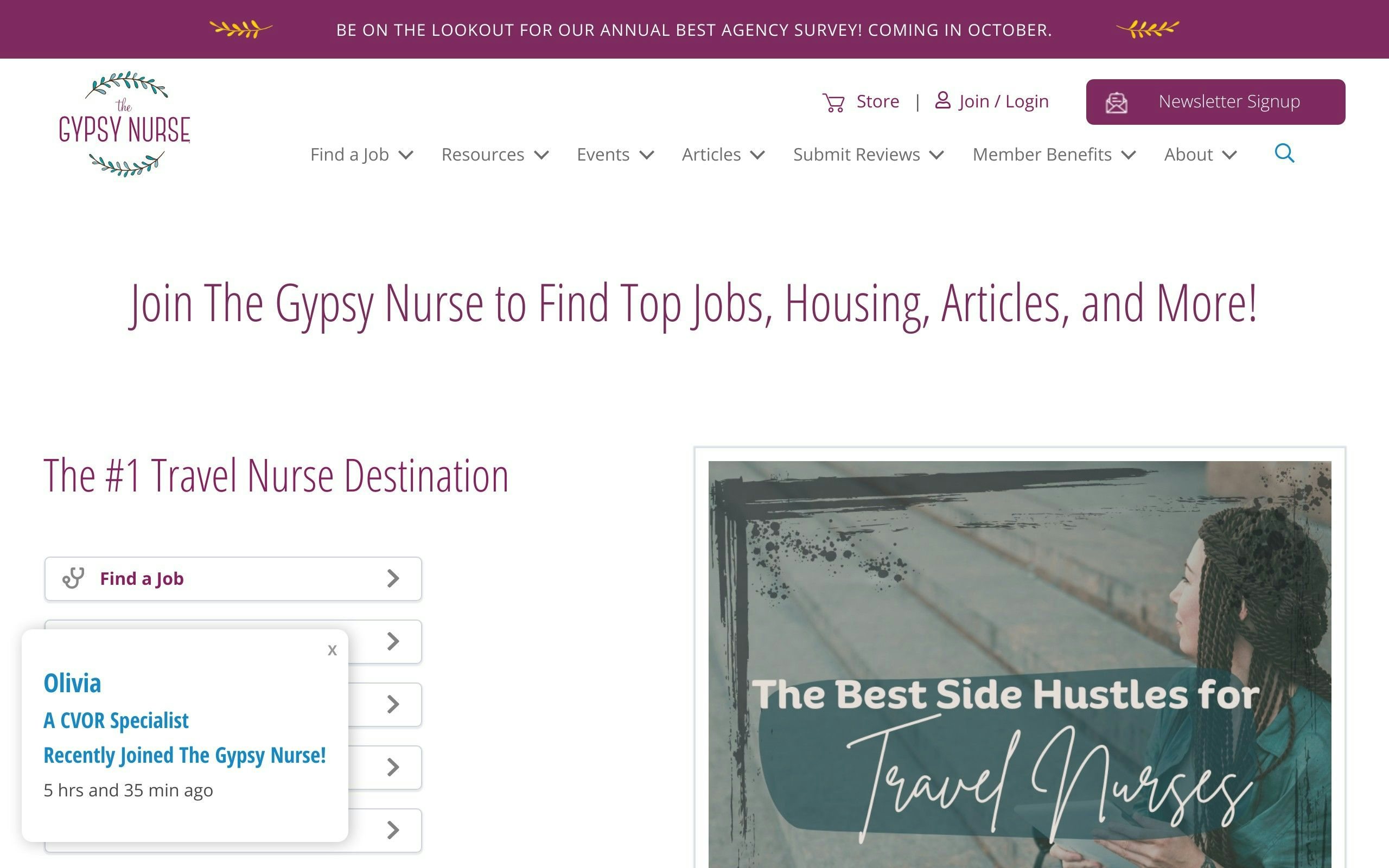 The Gypsy Nurse blog