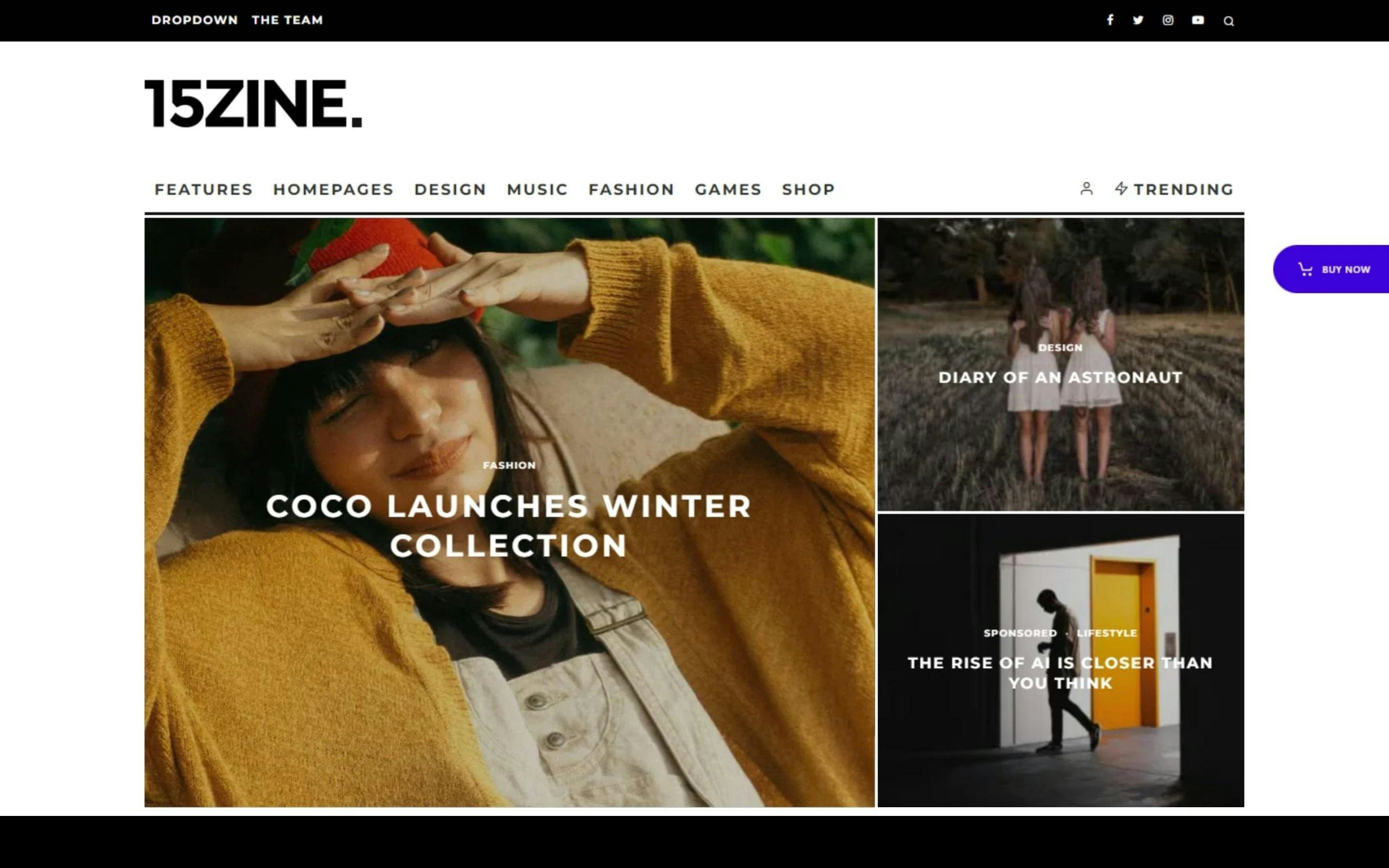 15Zine WordPress theme for a review blog