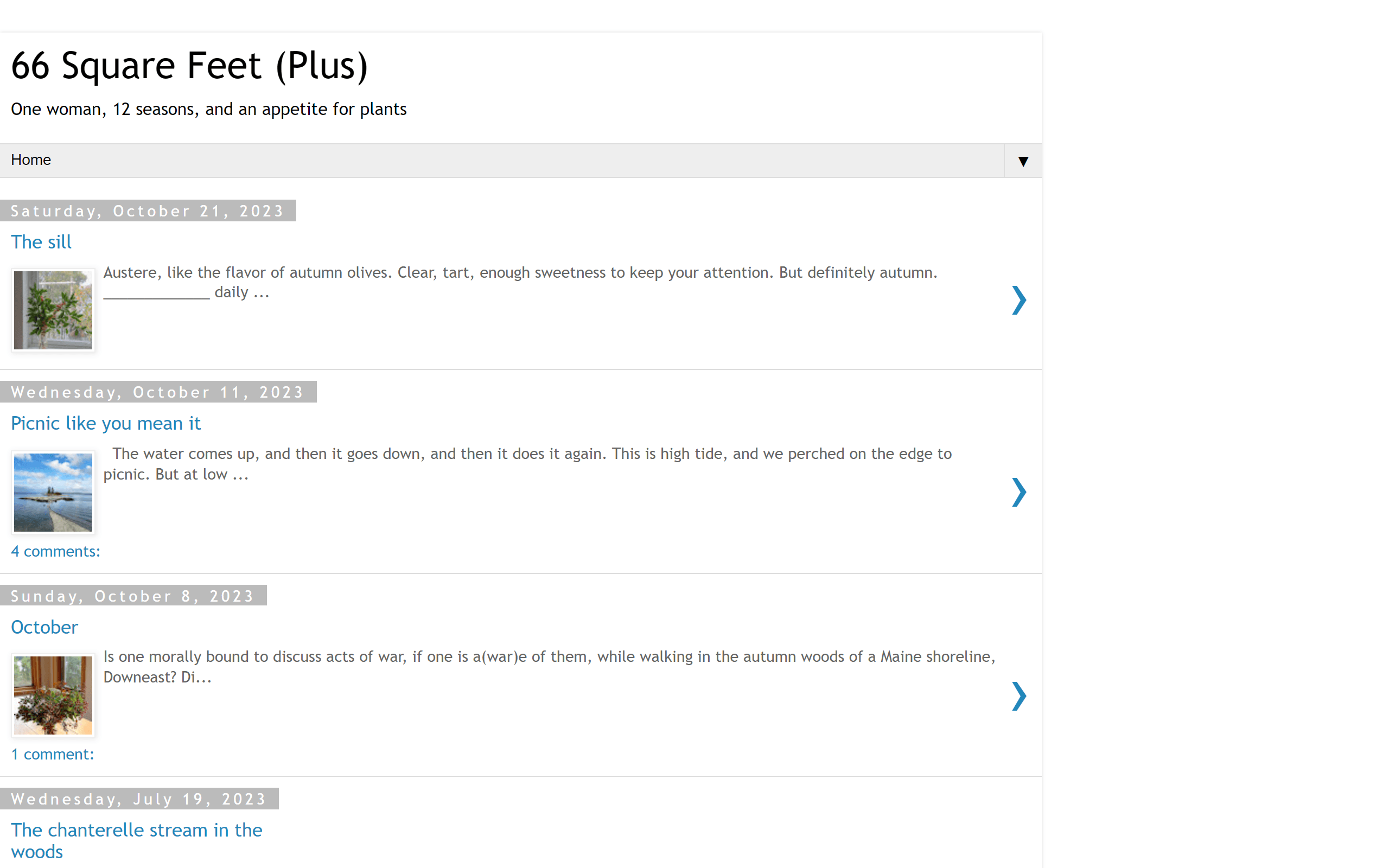 66 Square Feet gardening blog