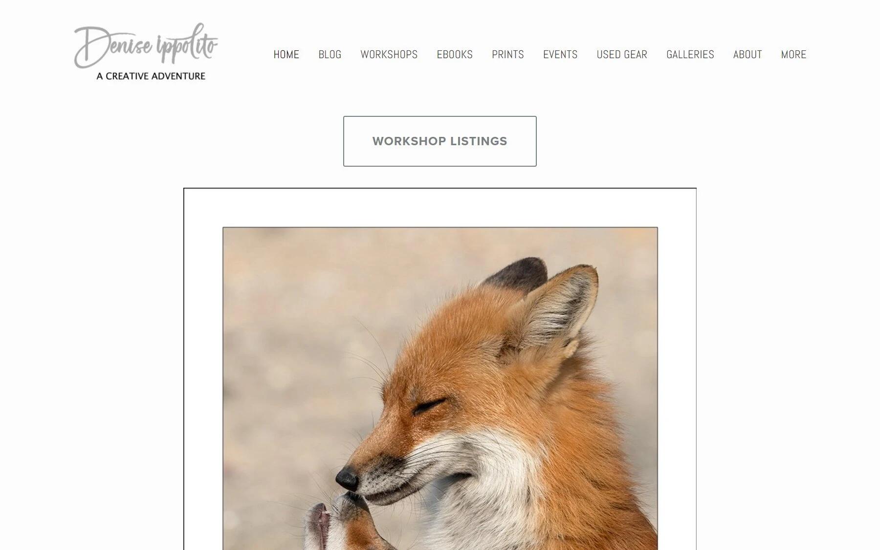 Denise Ippolito photography blog