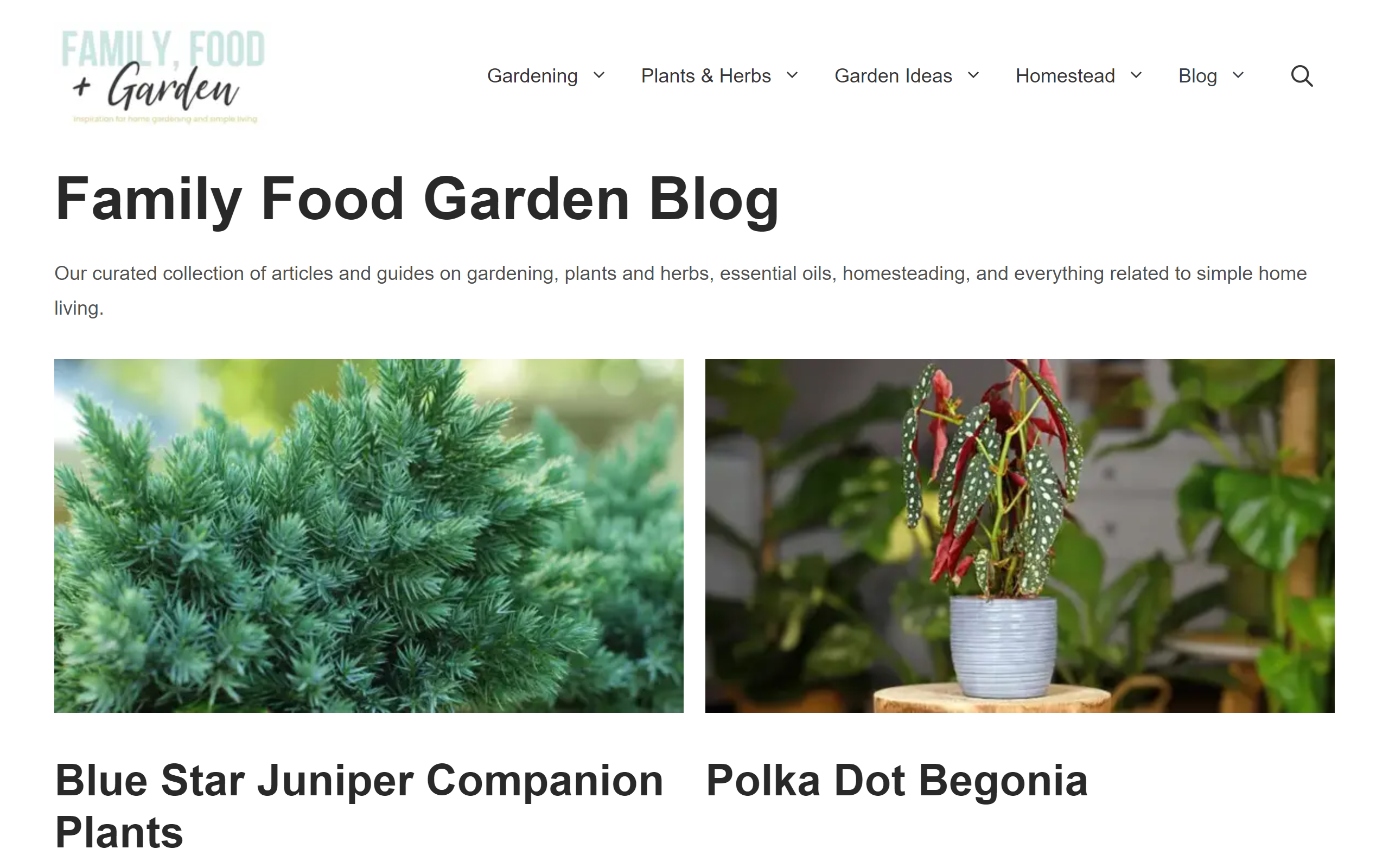 Family Food Garden gardening blog