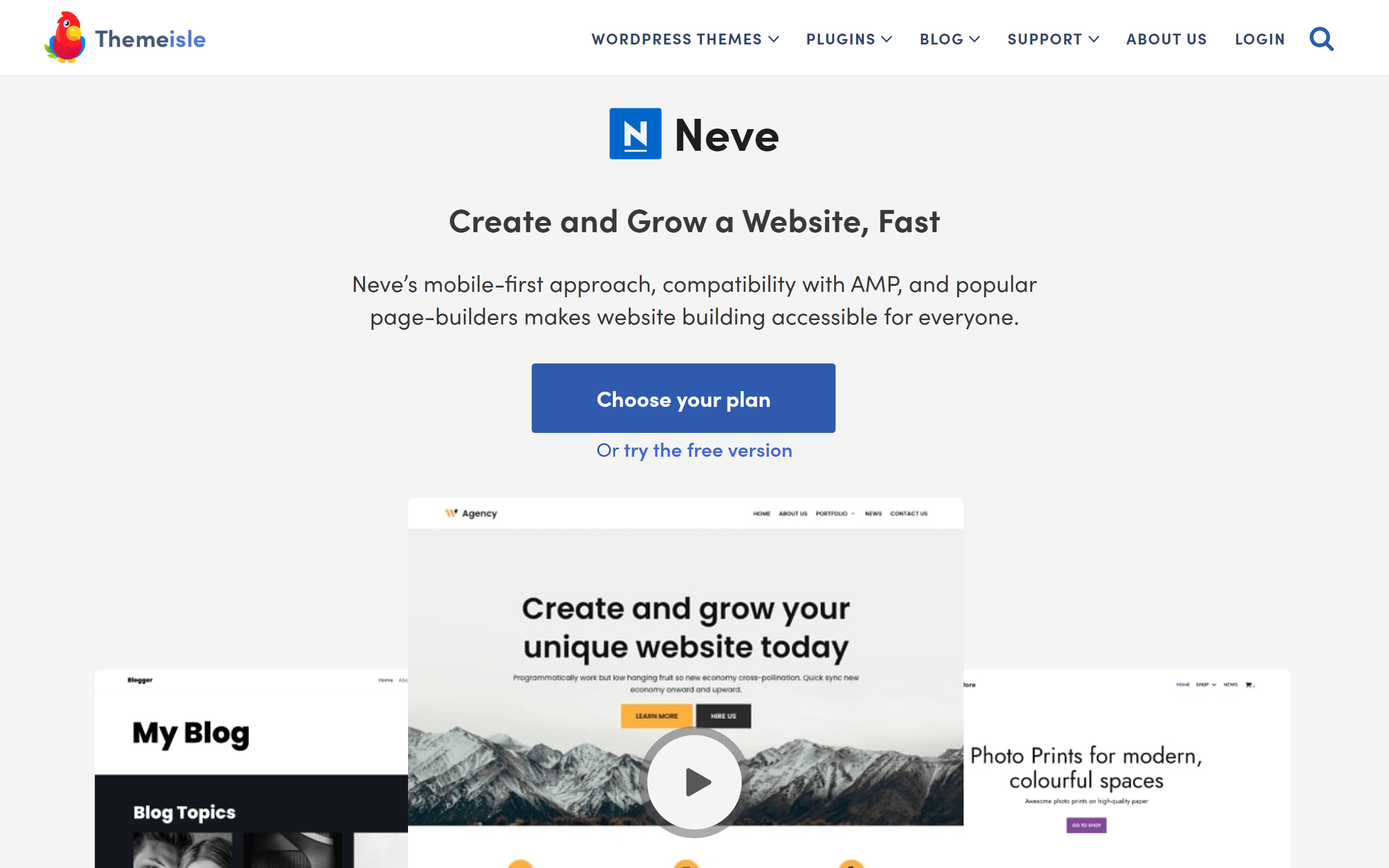 Neve minimalist WordPress theme