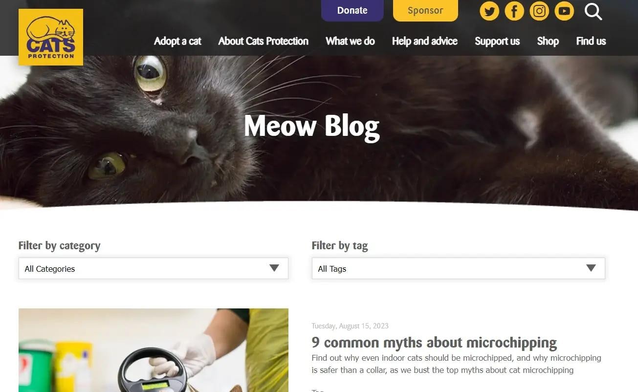 Cats.org pet blog