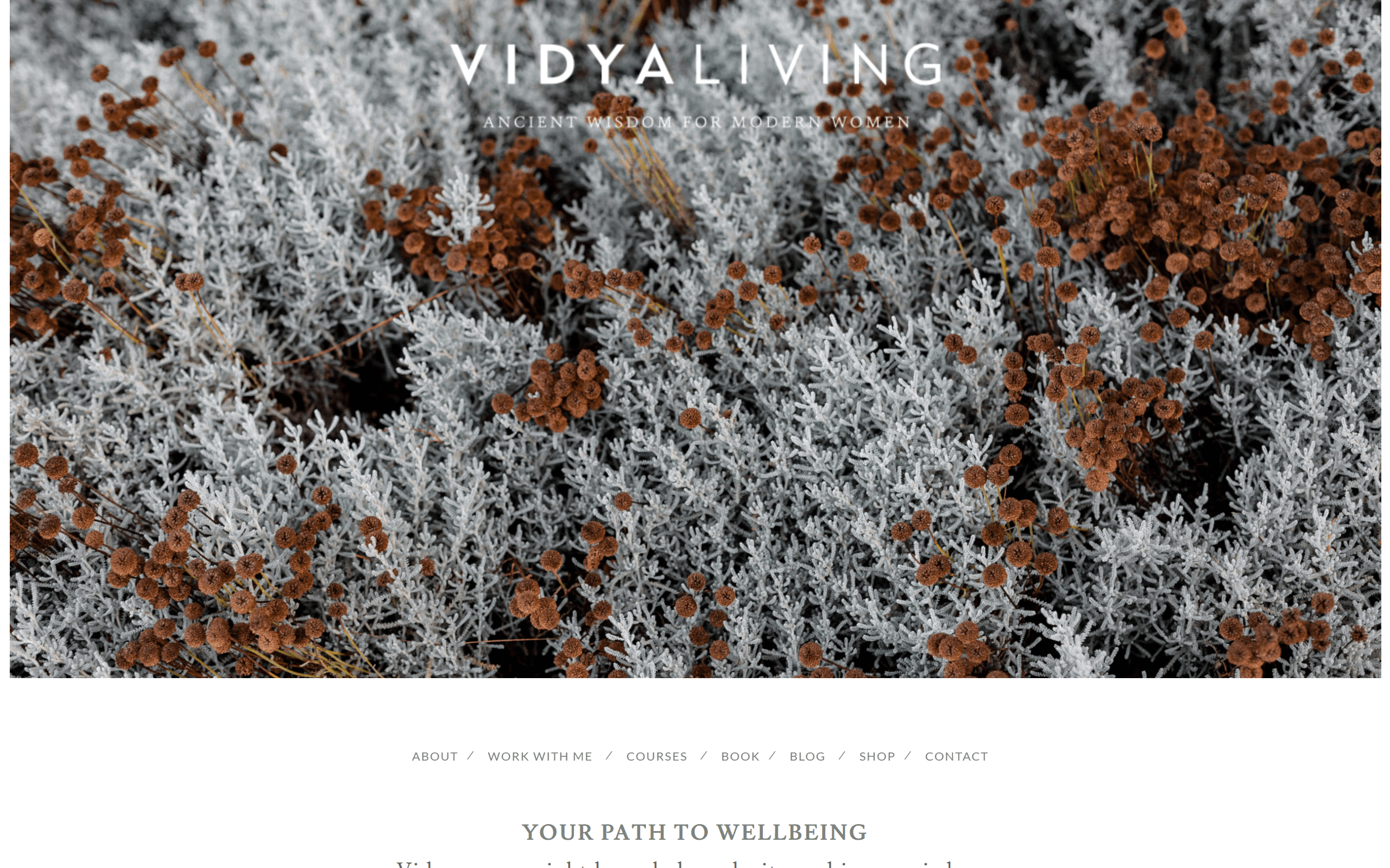 Claire Ragozzino Coaching Website