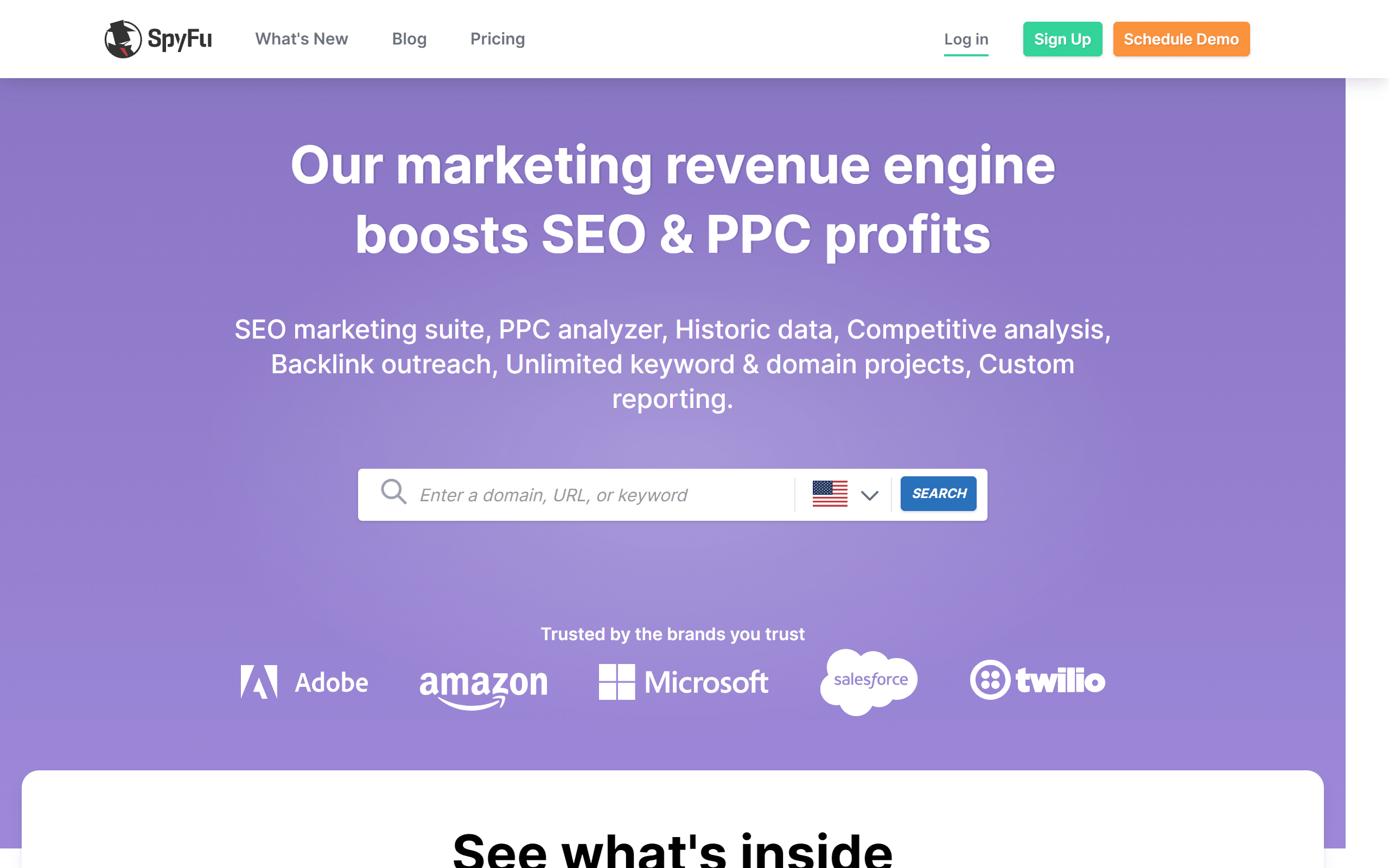 SpyFu Competitor Analysis Tool