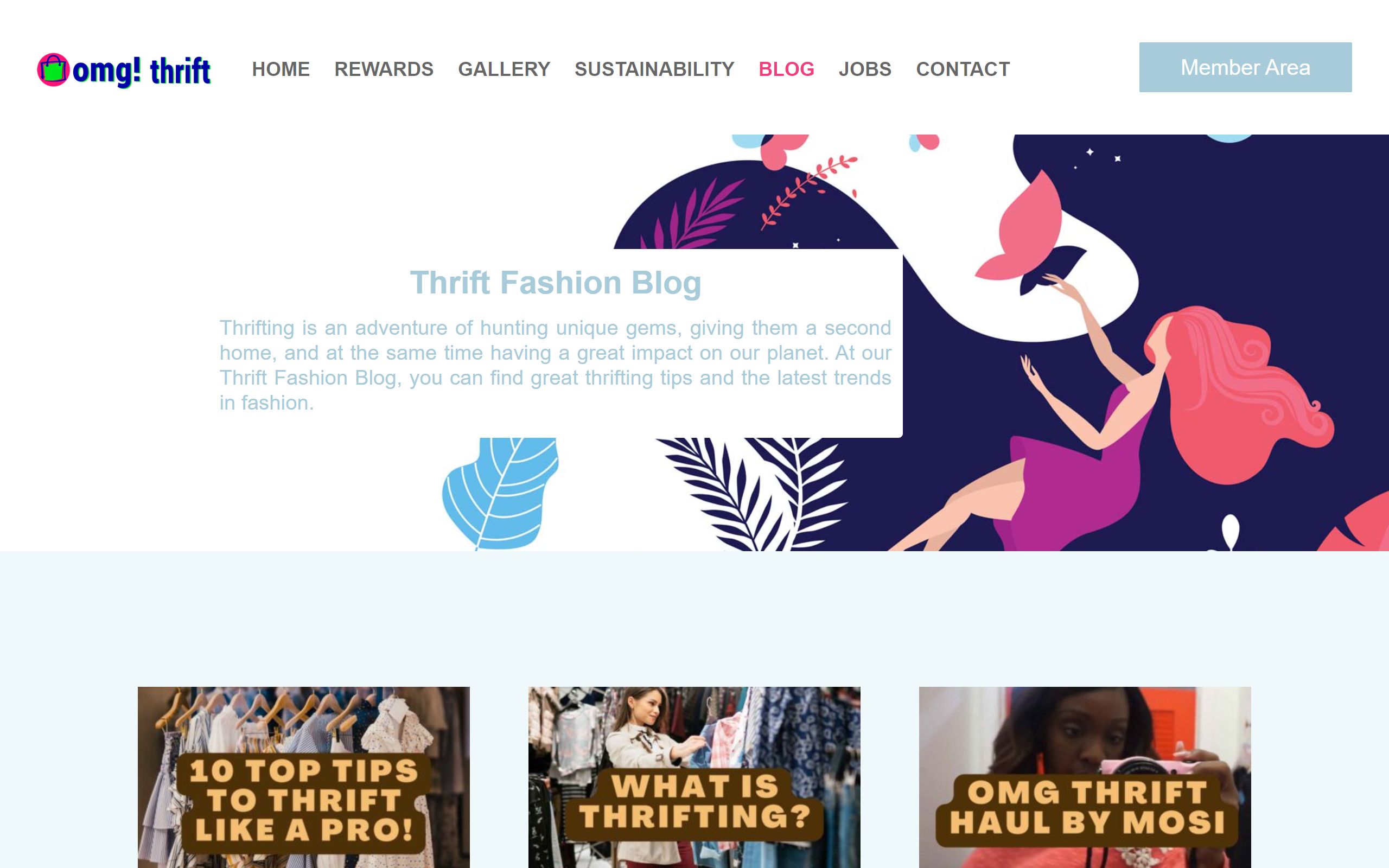 OMG! Thrift fashion blog