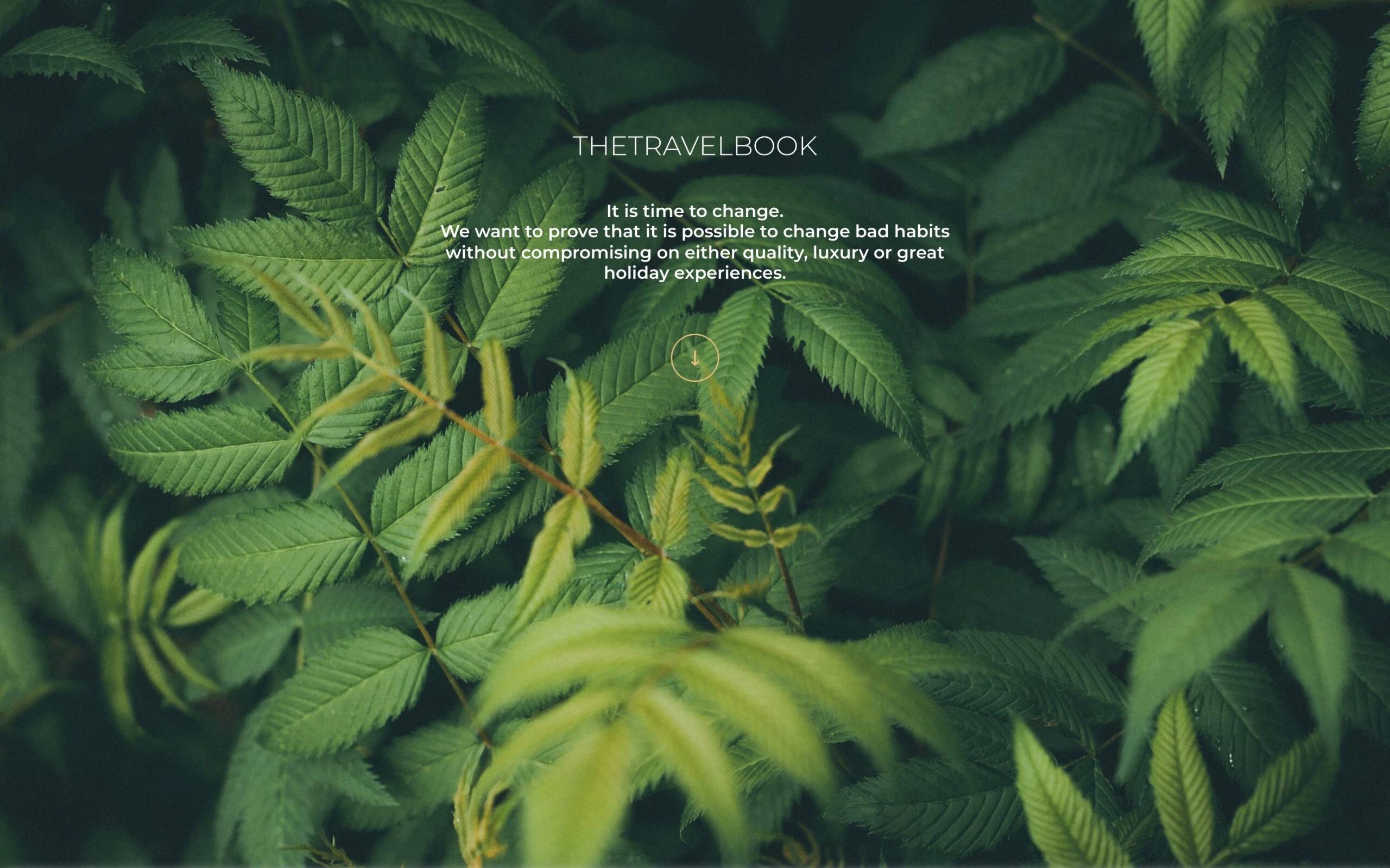 The Travel Book travel blog
