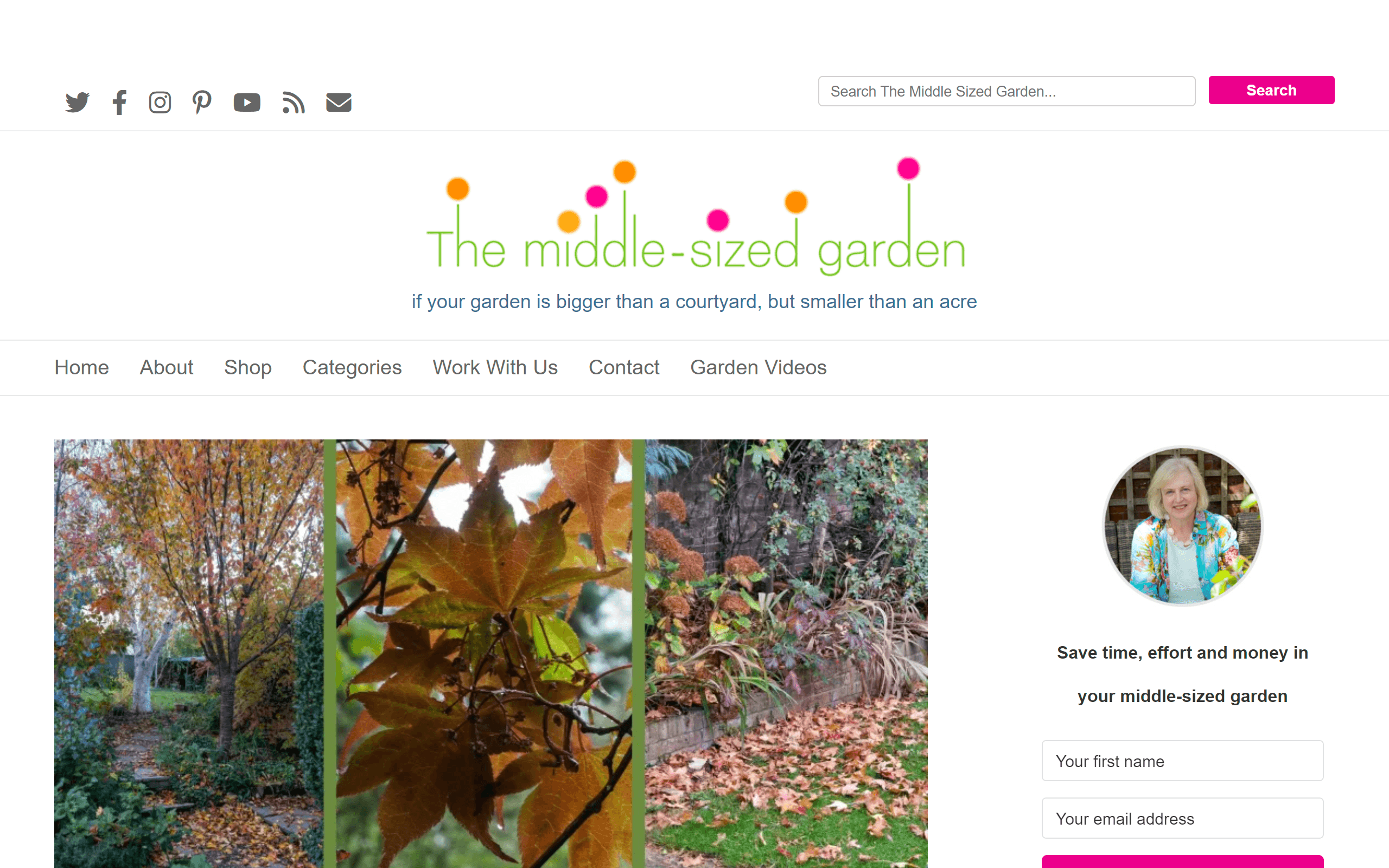 The Middle-Sized Garden gardening blog