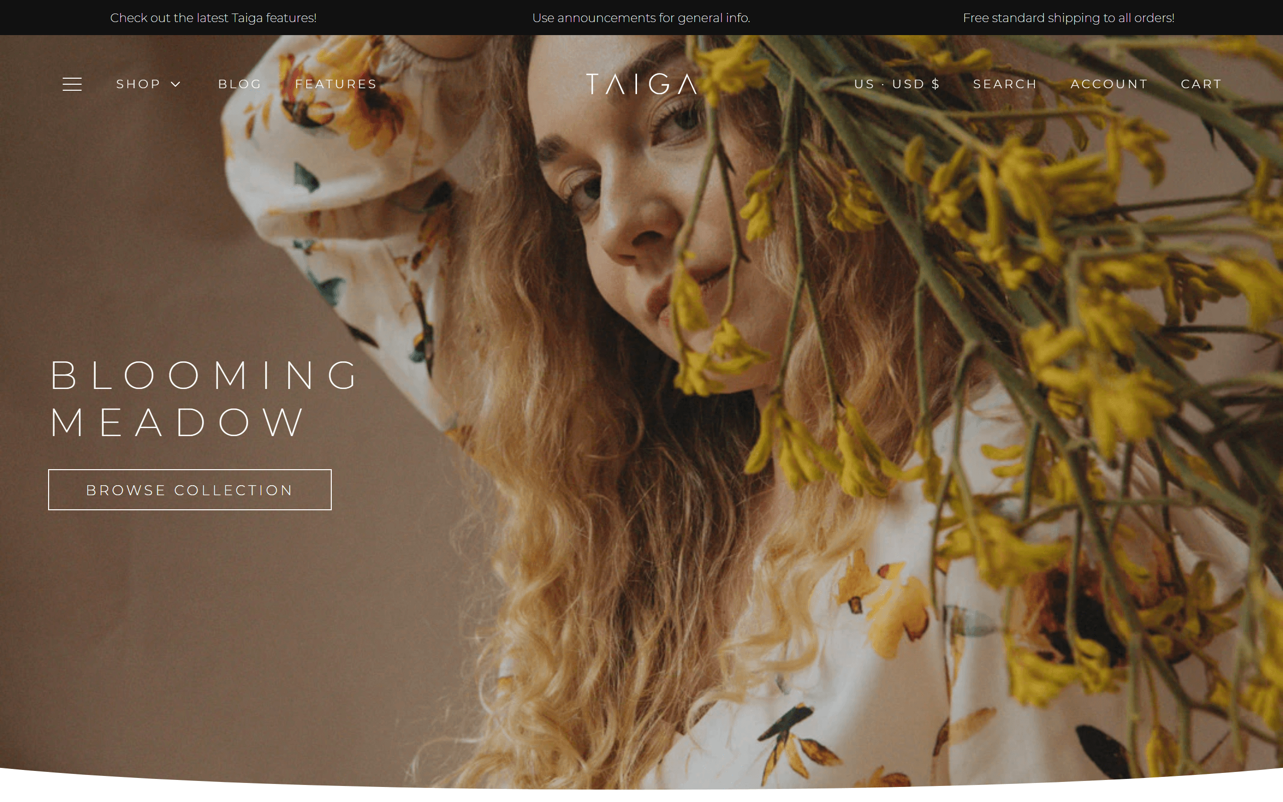 Taiga Shopify Fashion Theme