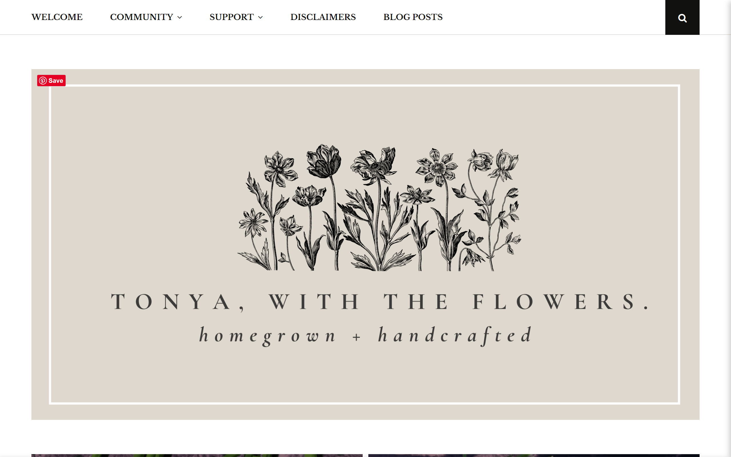 Freshcutky gardening blog