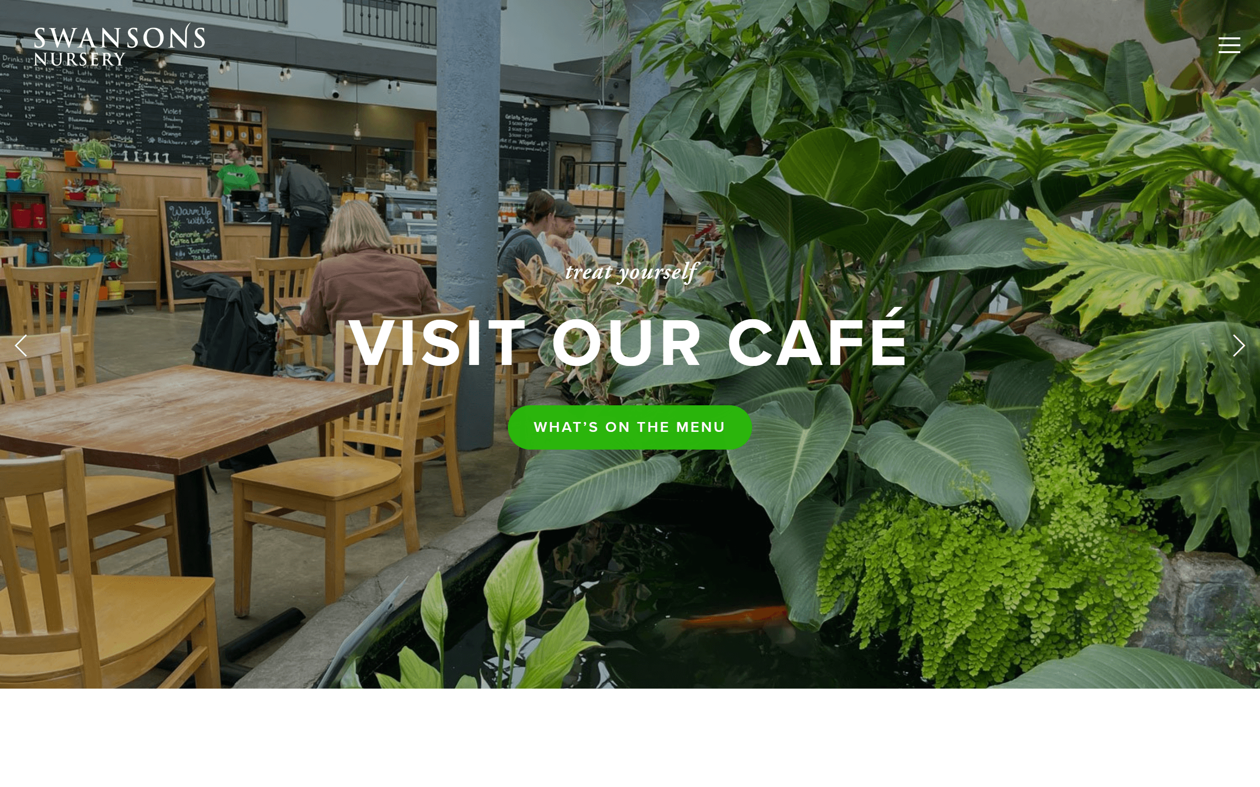 Swan Sons Nursery gardening blog