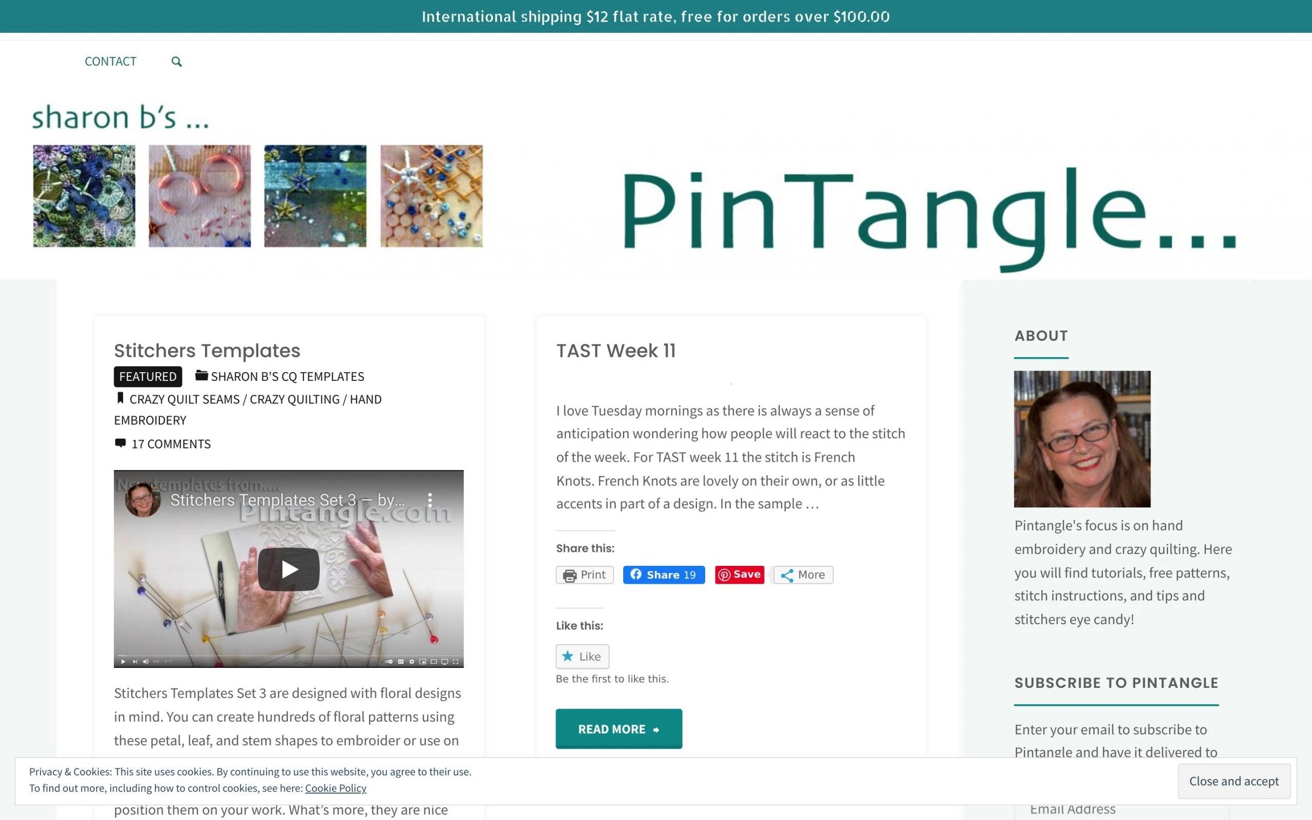 Pintangle DIY blog