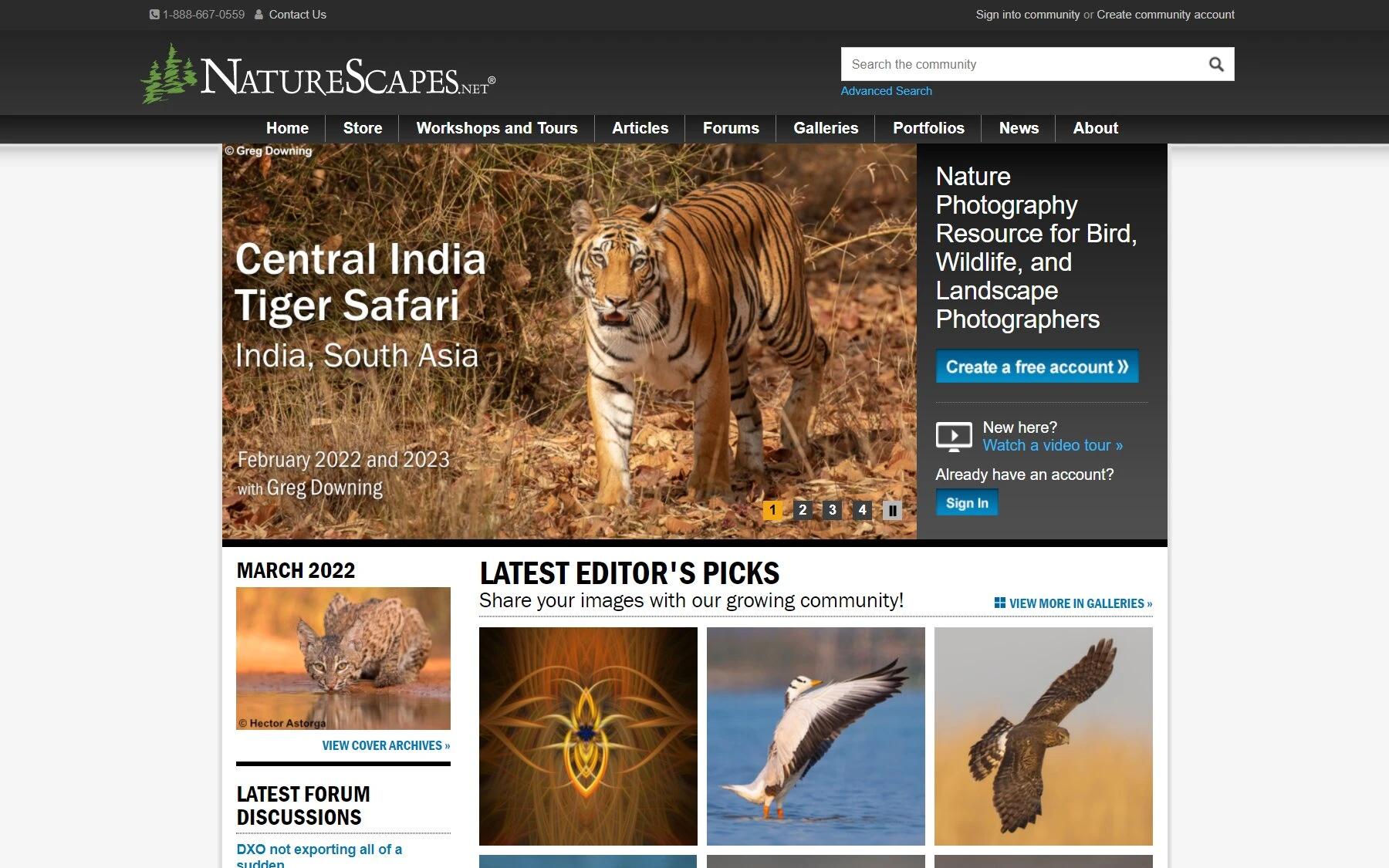 NatureScapes photography blog