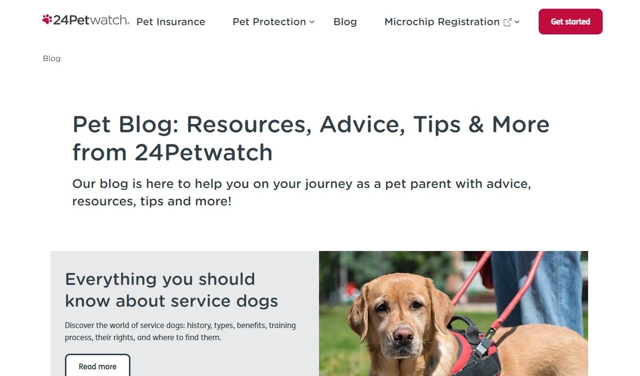 24 Pet Watch pet blog