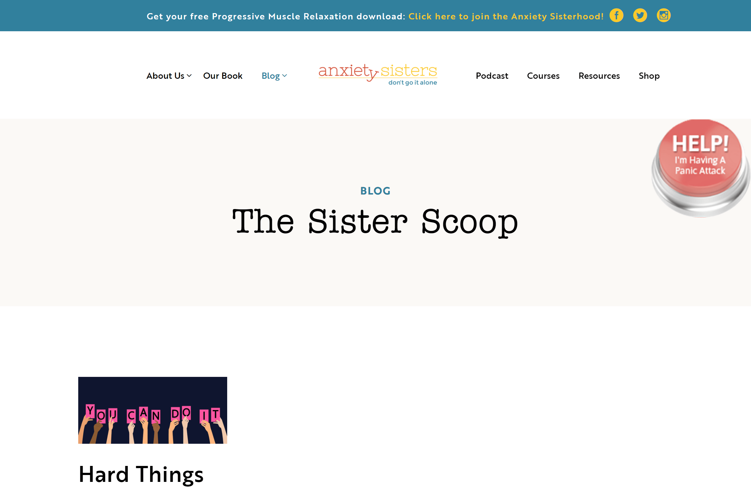 Anxiety Sisters mental health blog