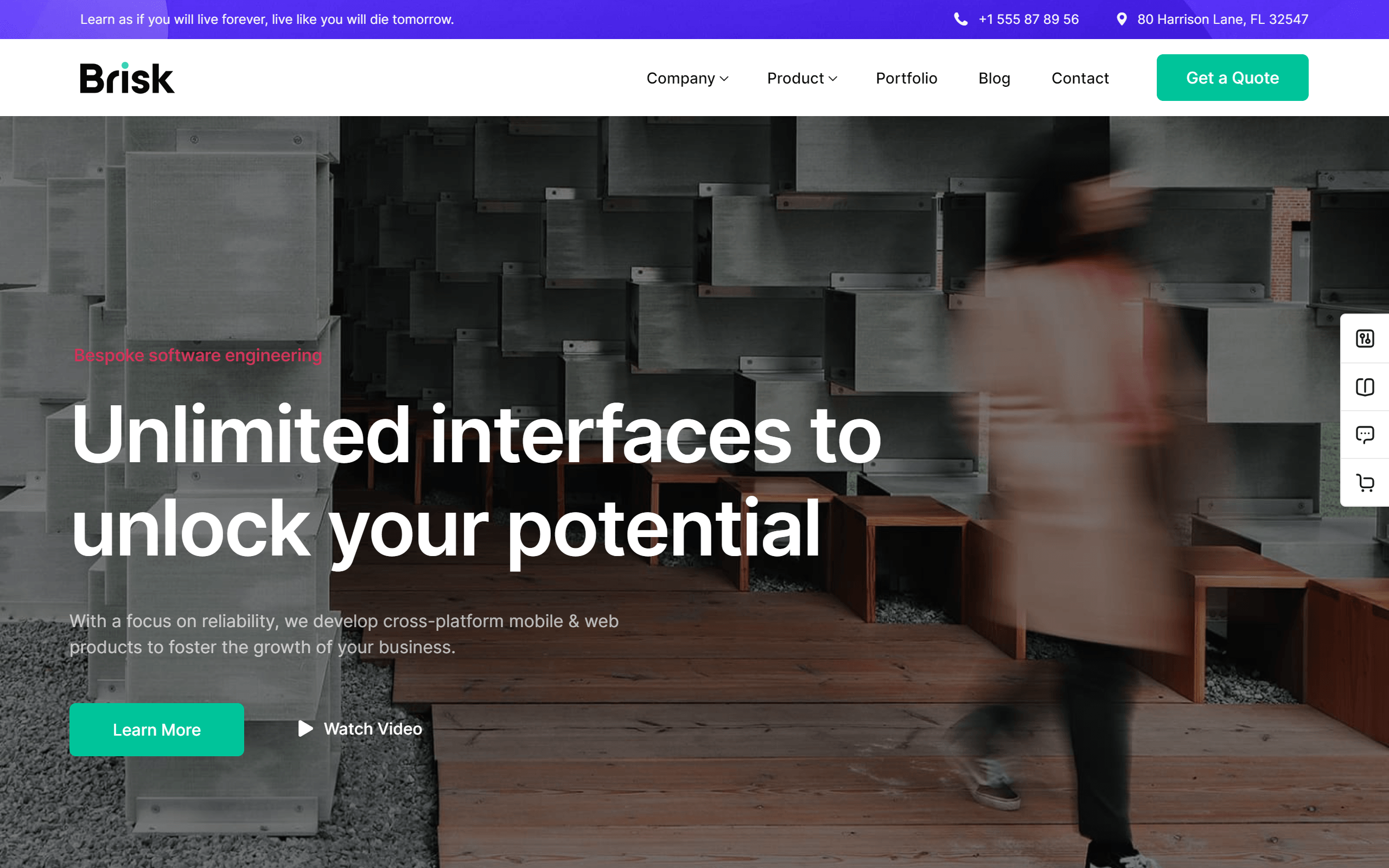 Brisk WordPress theme