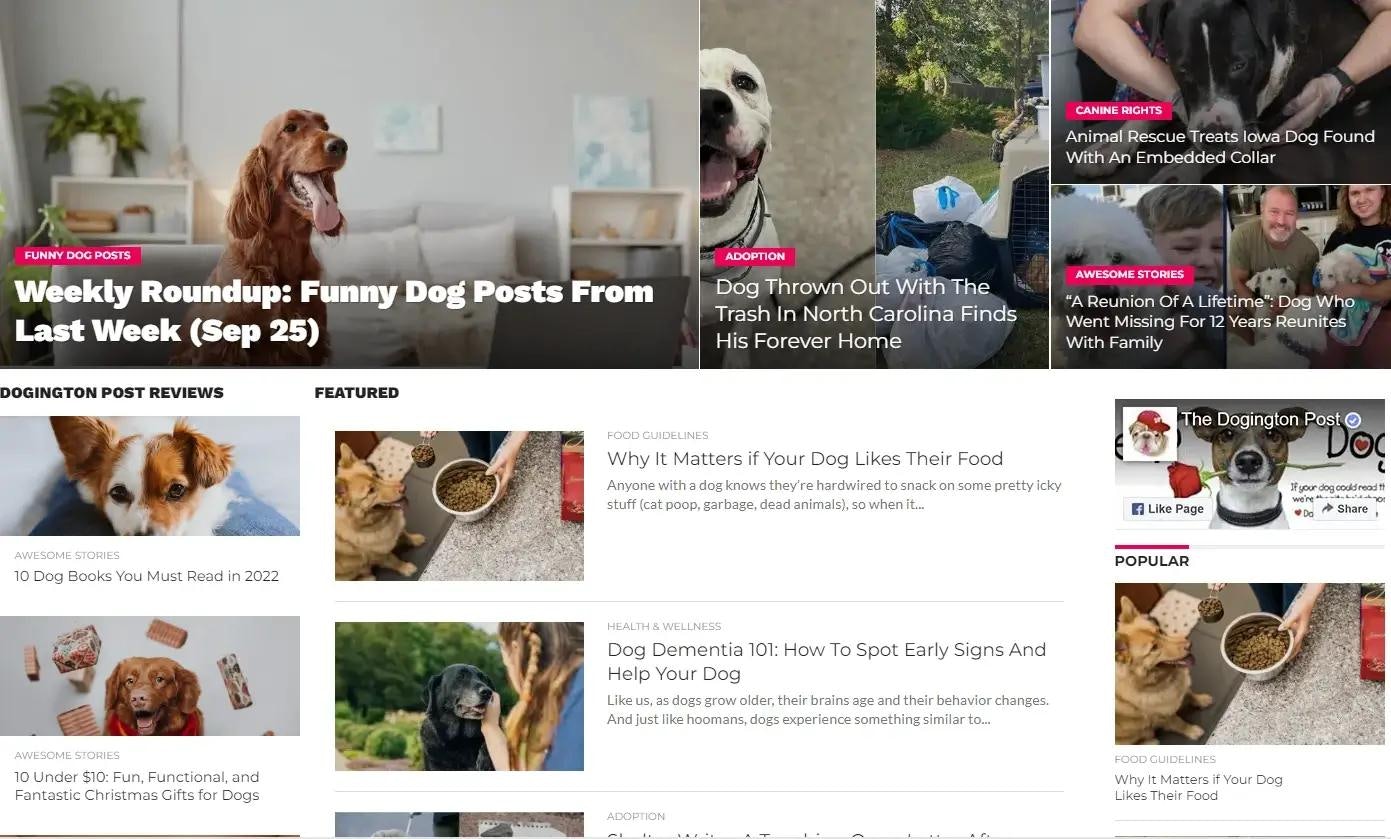  The Dogington Post dog blog