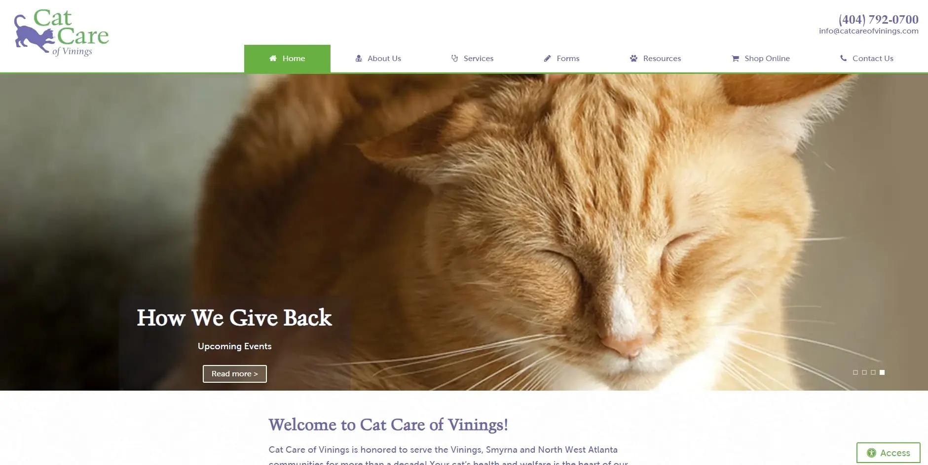 Cat Care of Vinings cat blog