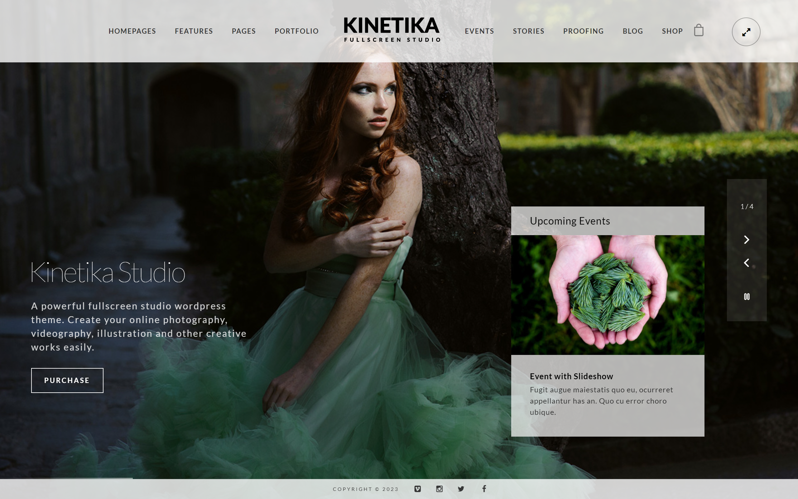 Kinetika WordPress photography theme