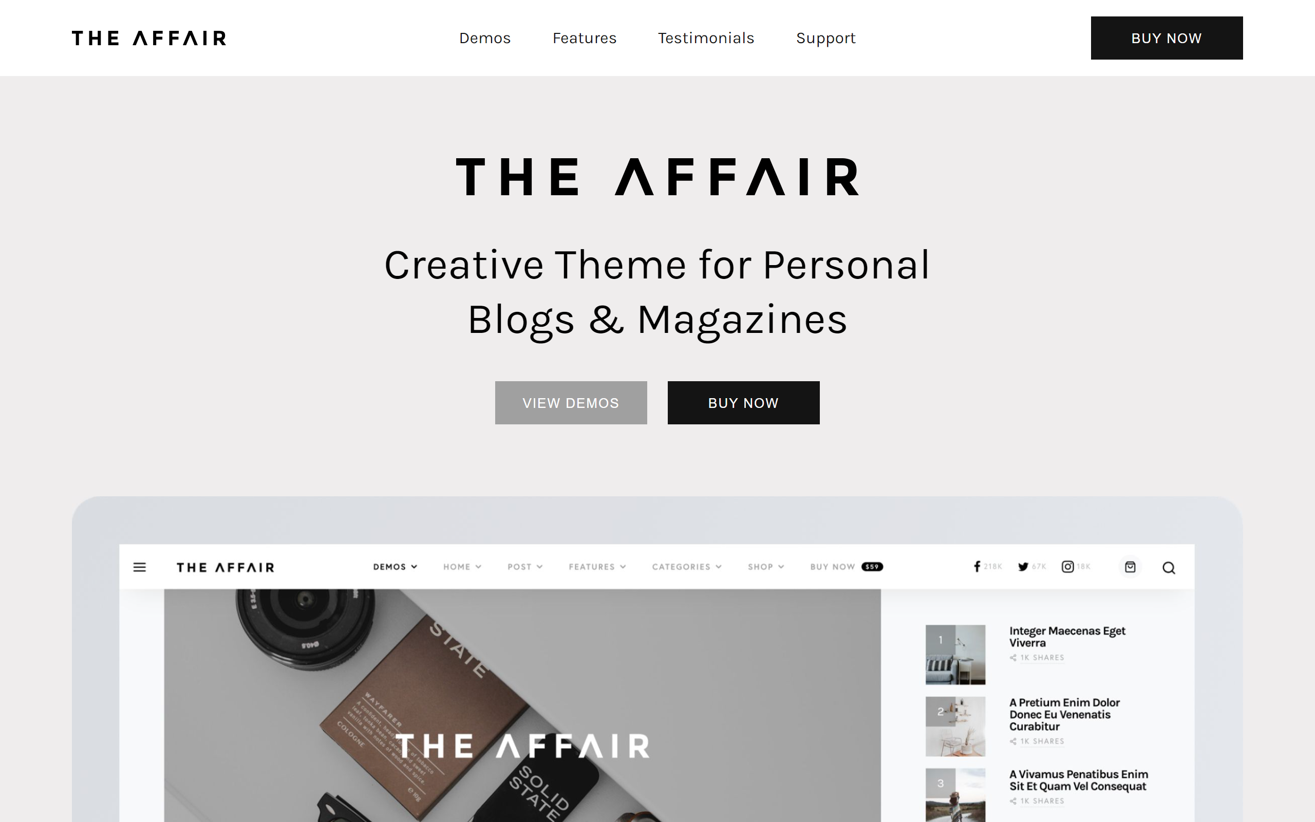 The Affair minimalist WordPress theme