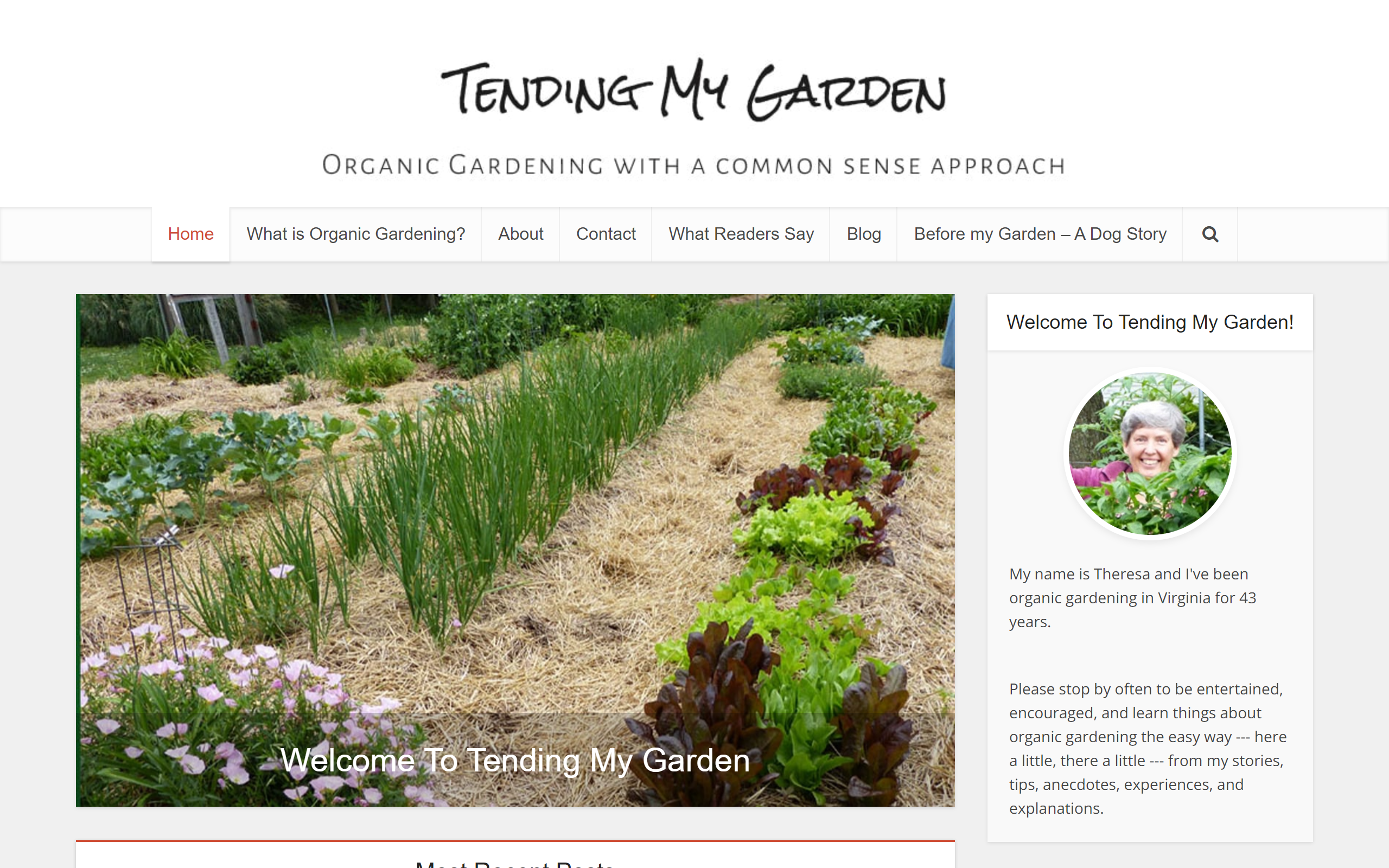 Tending My Garden gardening blog