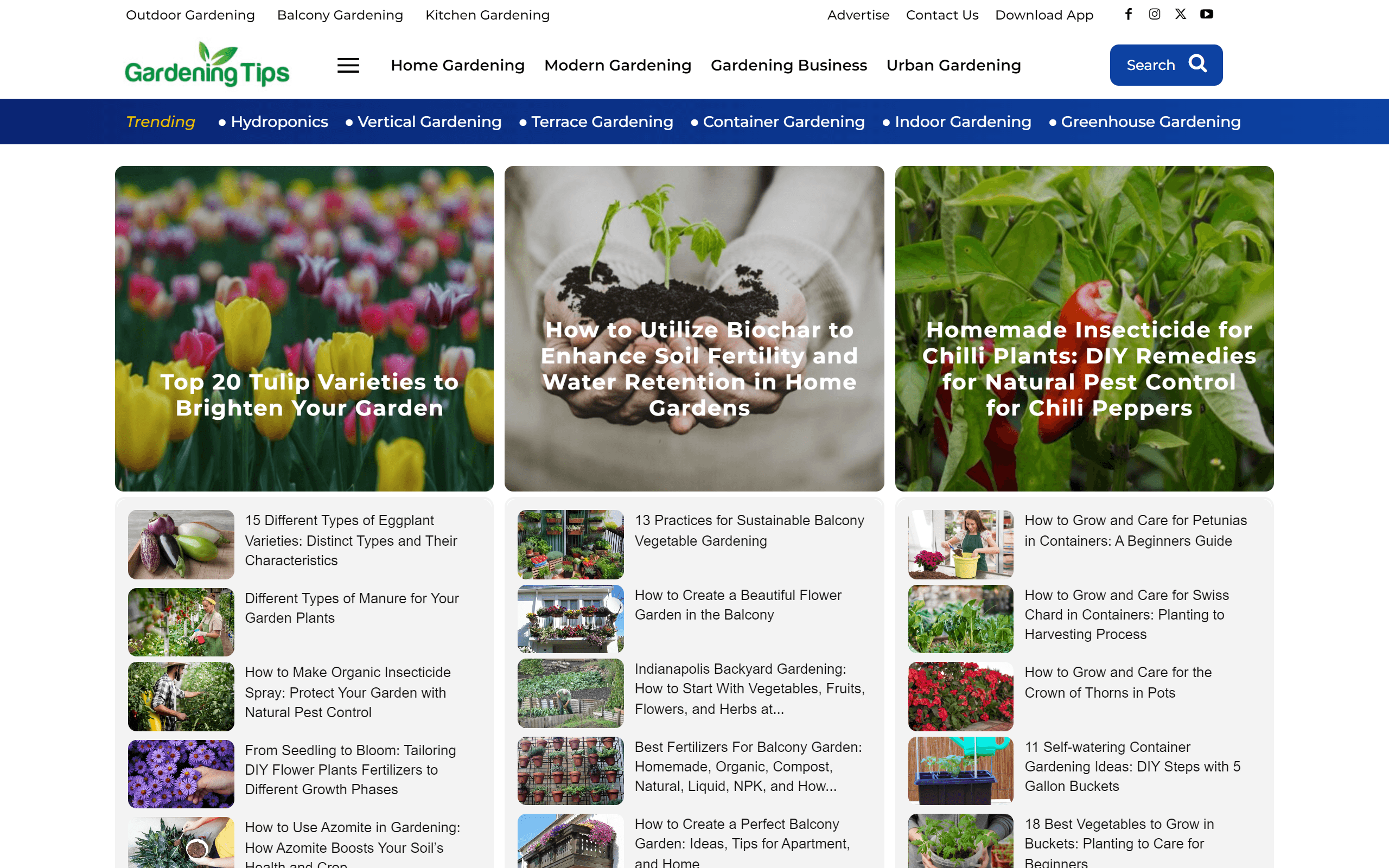 Gardening Tips gardening blog