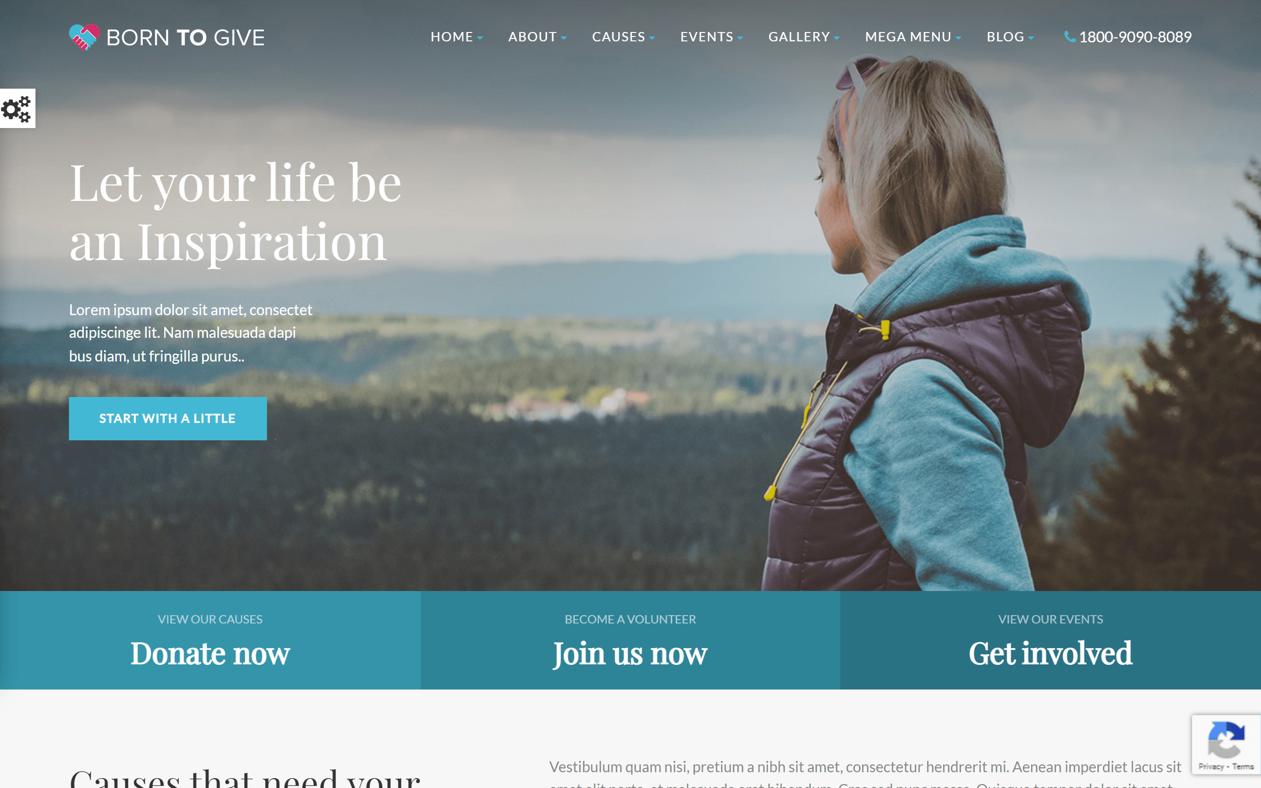 Born To Give WordPress Themes
