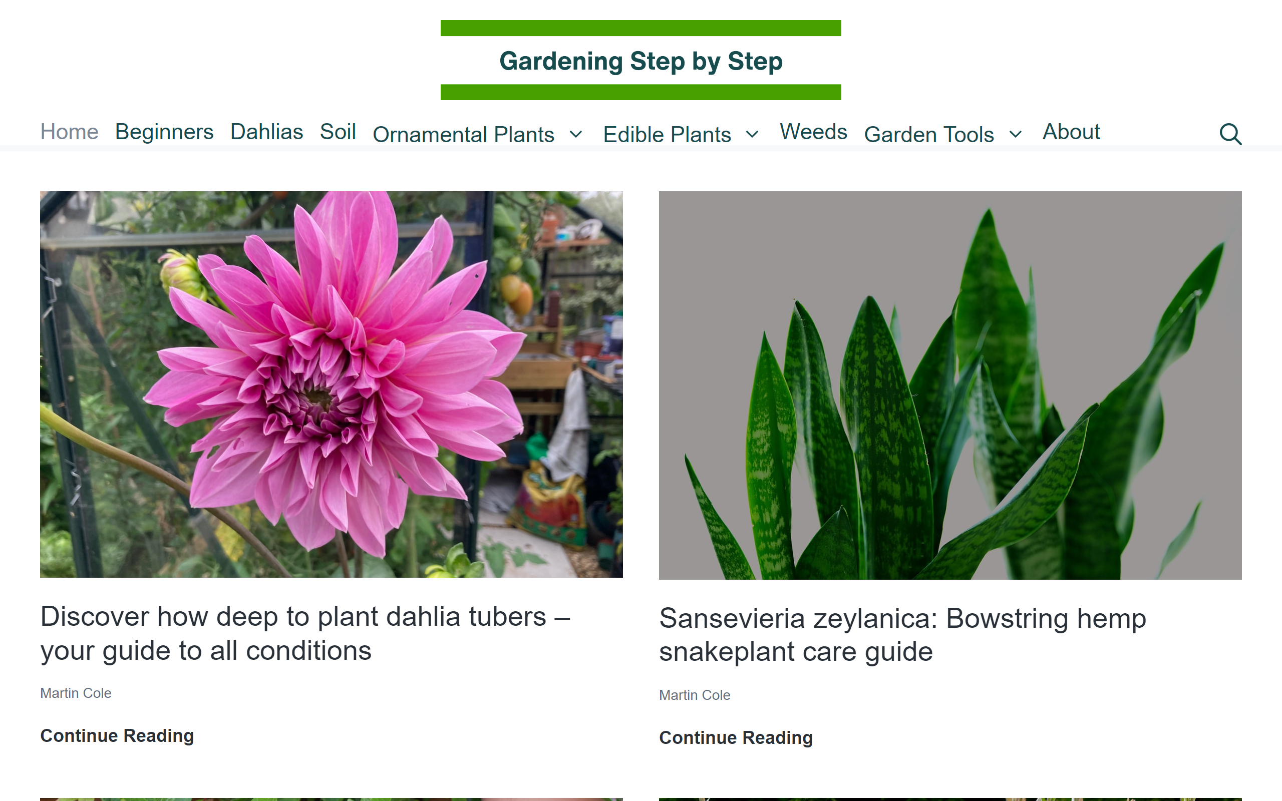 Gardening Step by Step gardening blog
