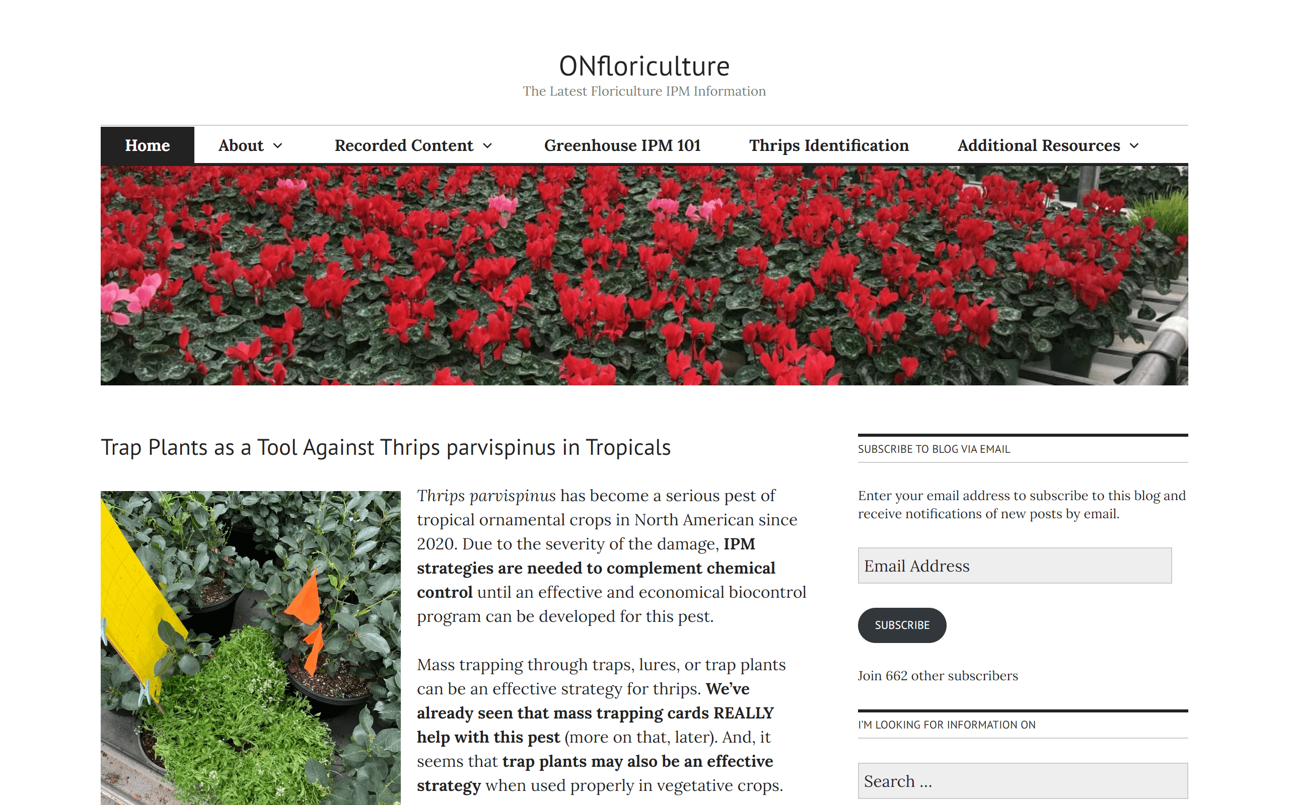 ONfloriculture gardening blog