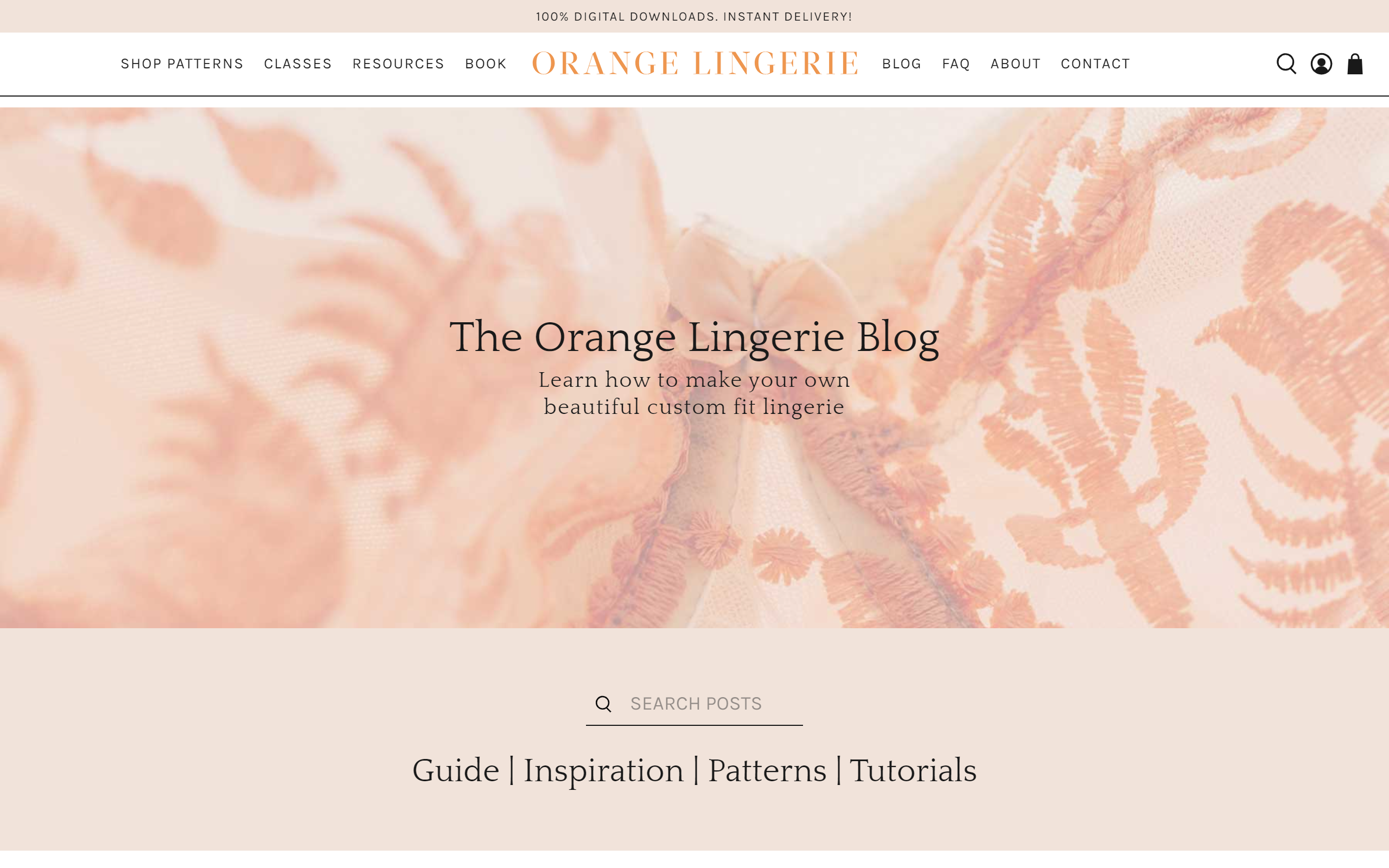 The Orange Lingerie Blog sewing blogs