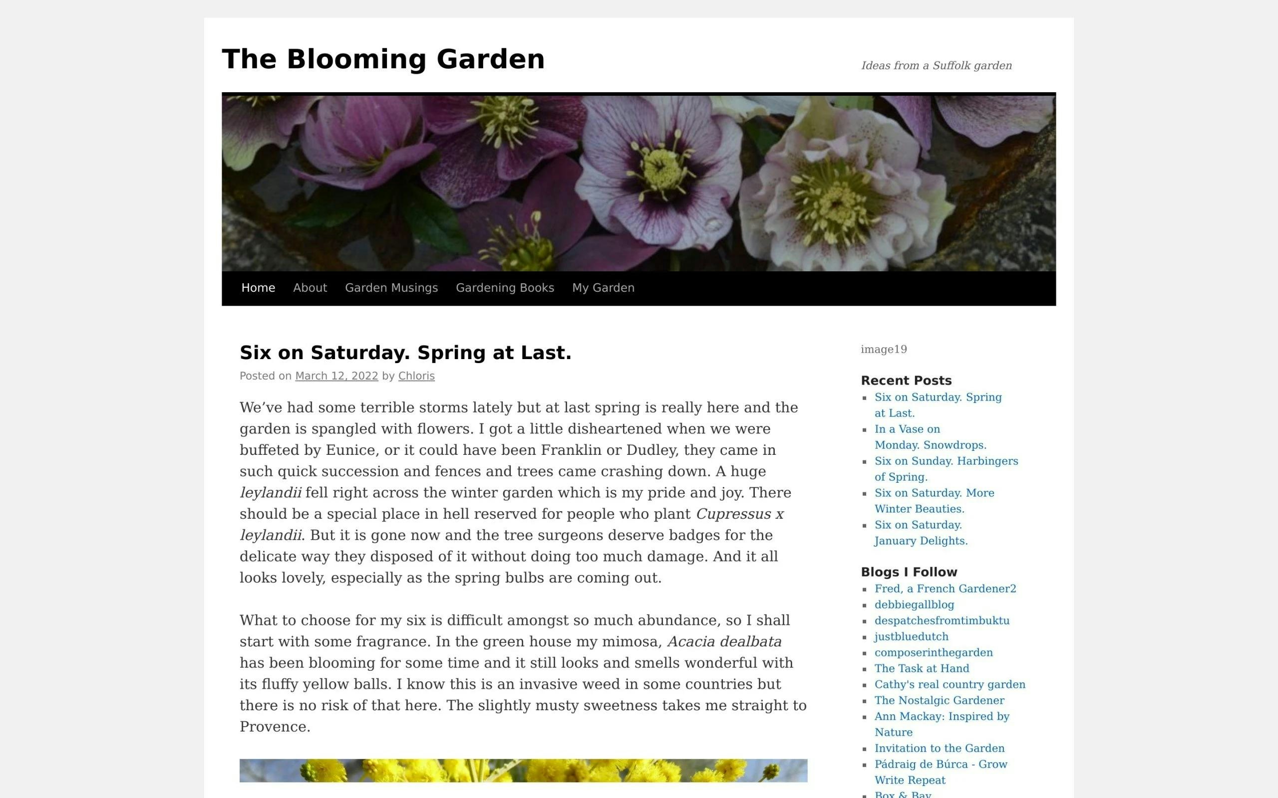The Blooming Garden gardening blog