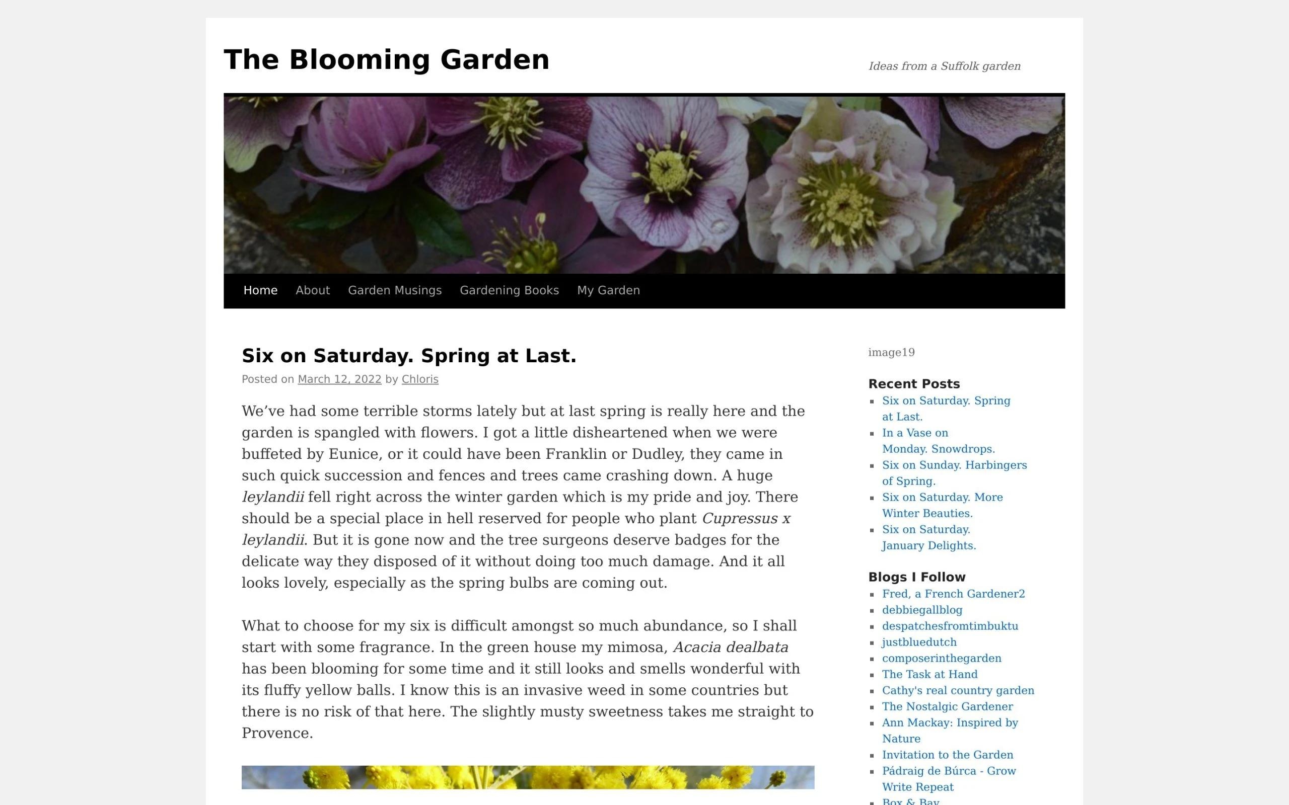 The Blooming Garden gardening blog