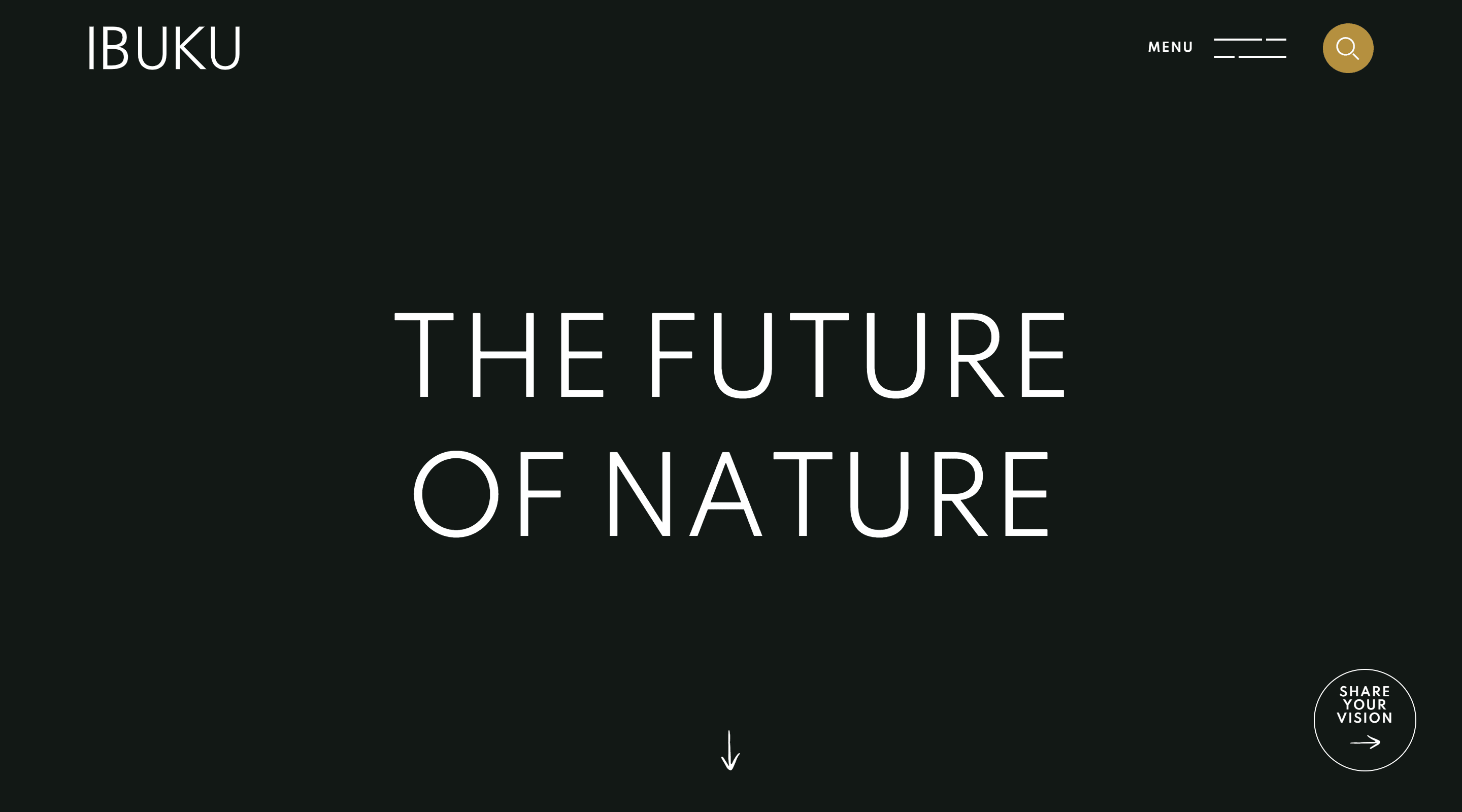 IBUKU Architecture Website