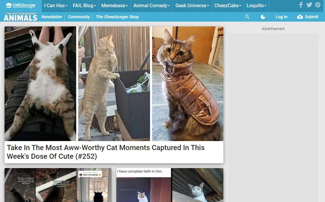 I Can Has Cheezburger pet blog