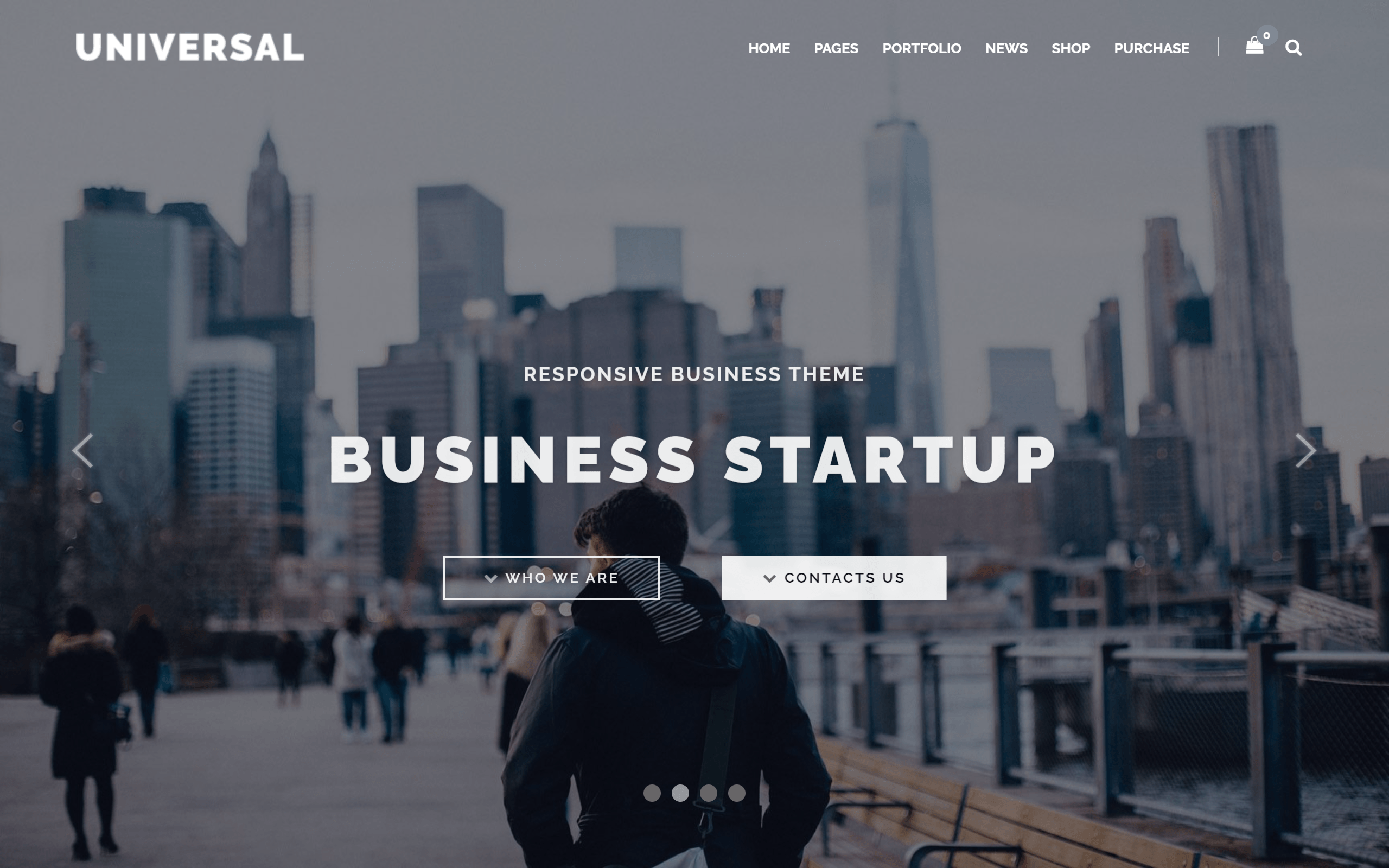 Universal WordPress theme