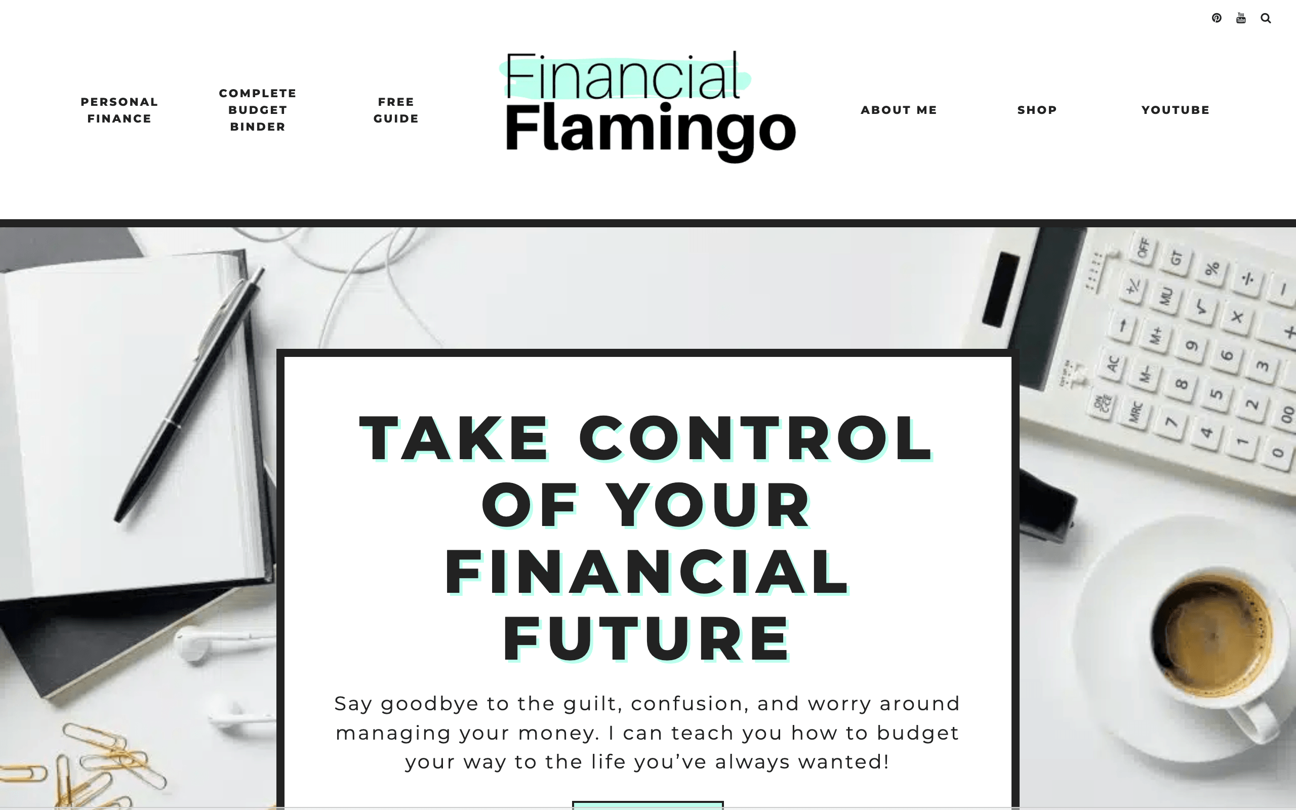 financial flamingo