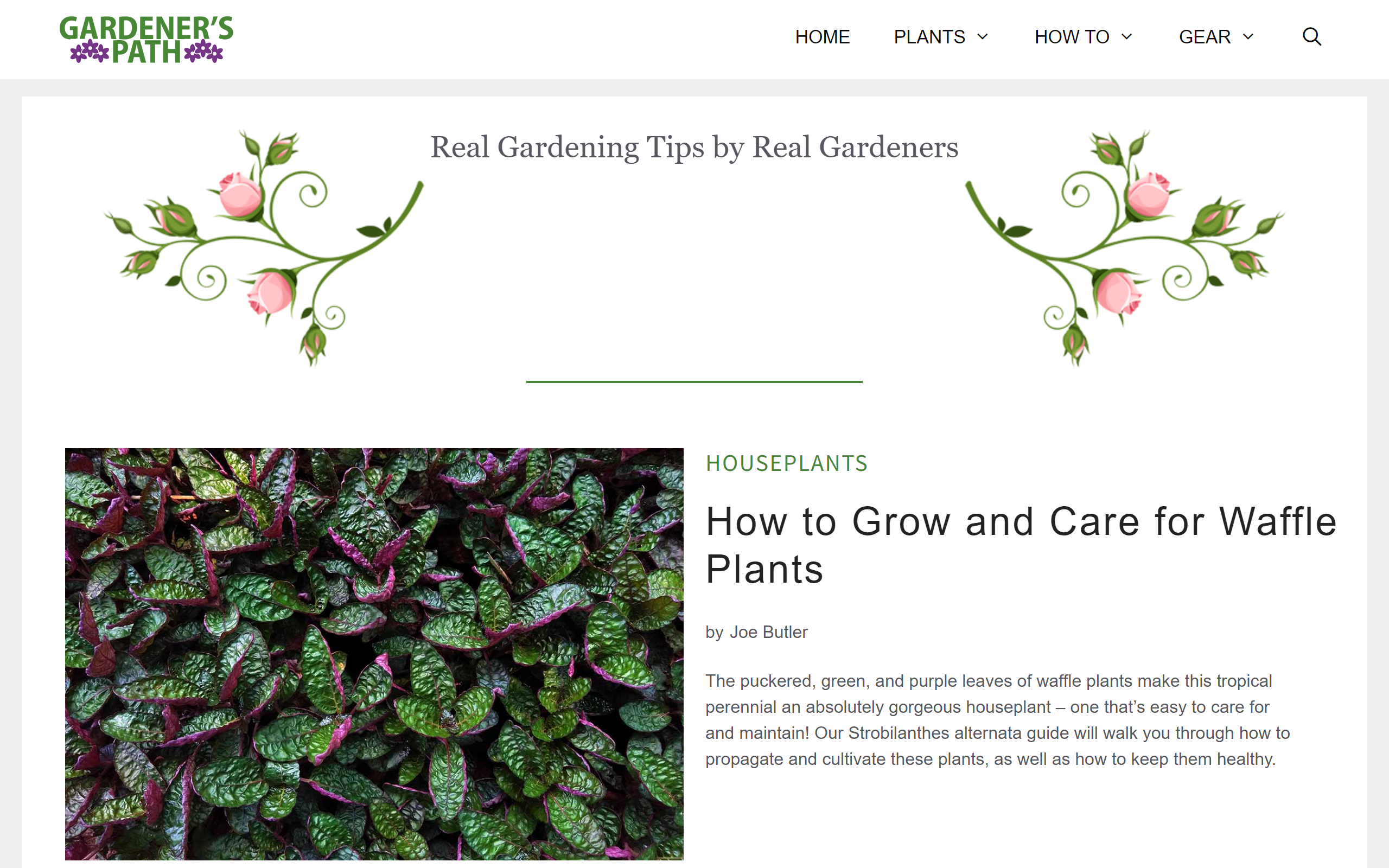 Gardener’s Path gardening blog