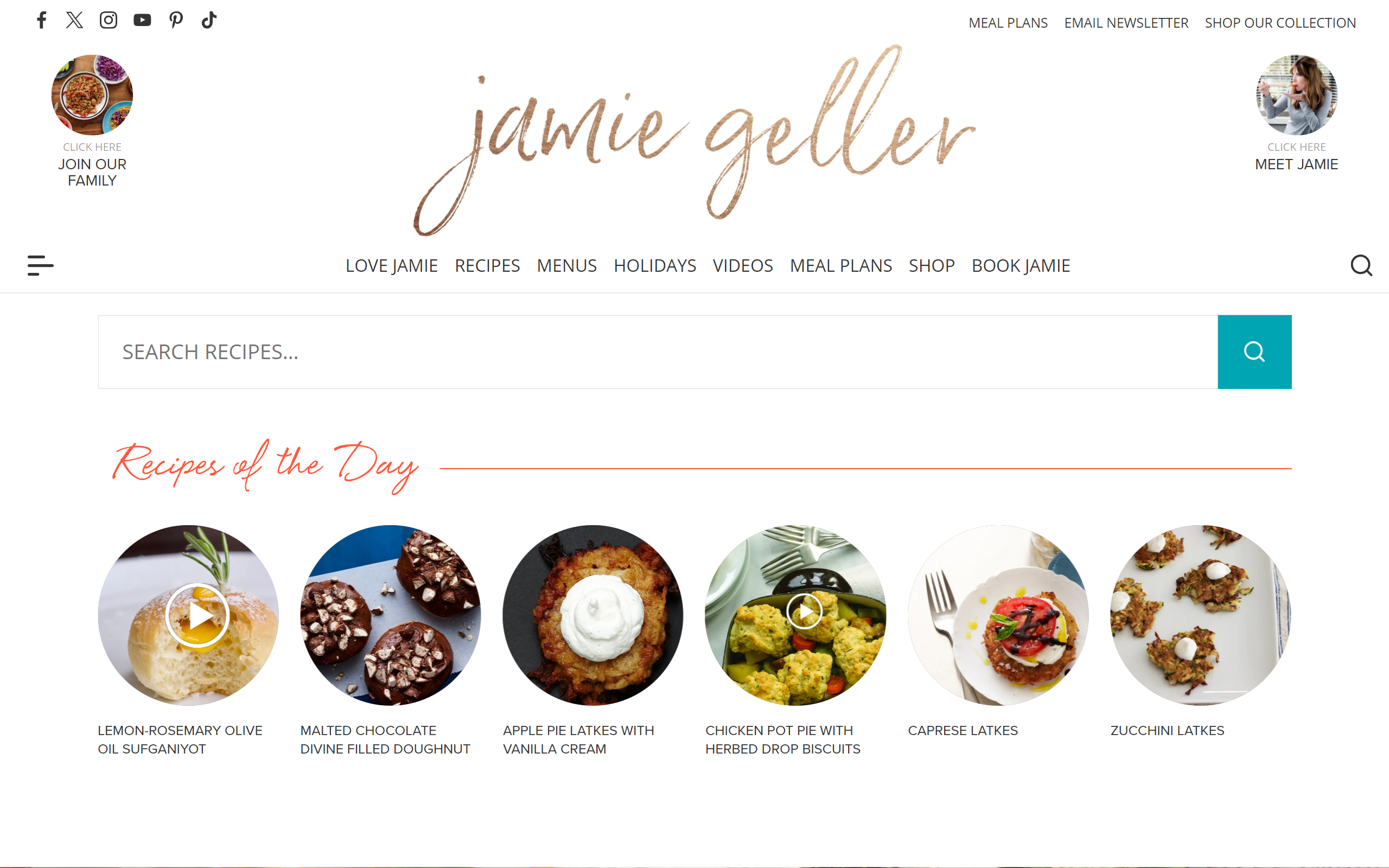 Joy of Kosher Recipe Websites